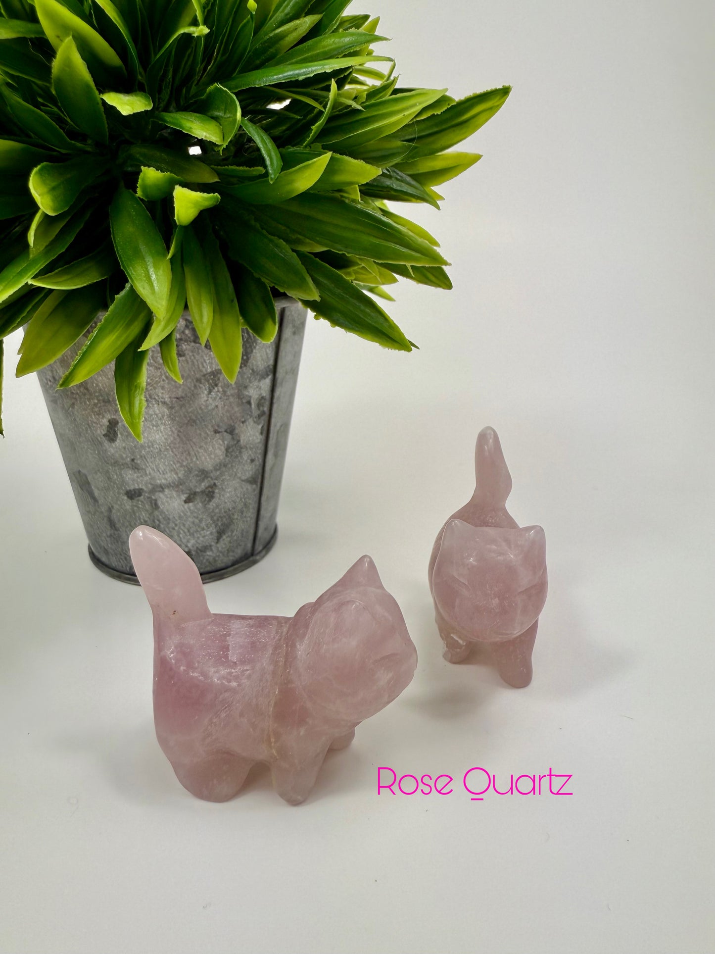 Rose Quartz Crystal Cats