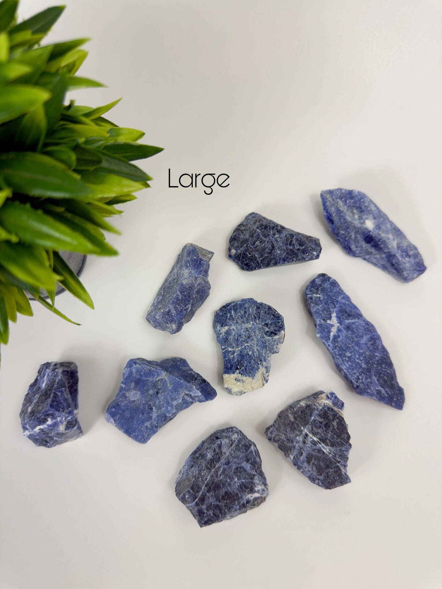 Sodalite Raw Pieces - Large