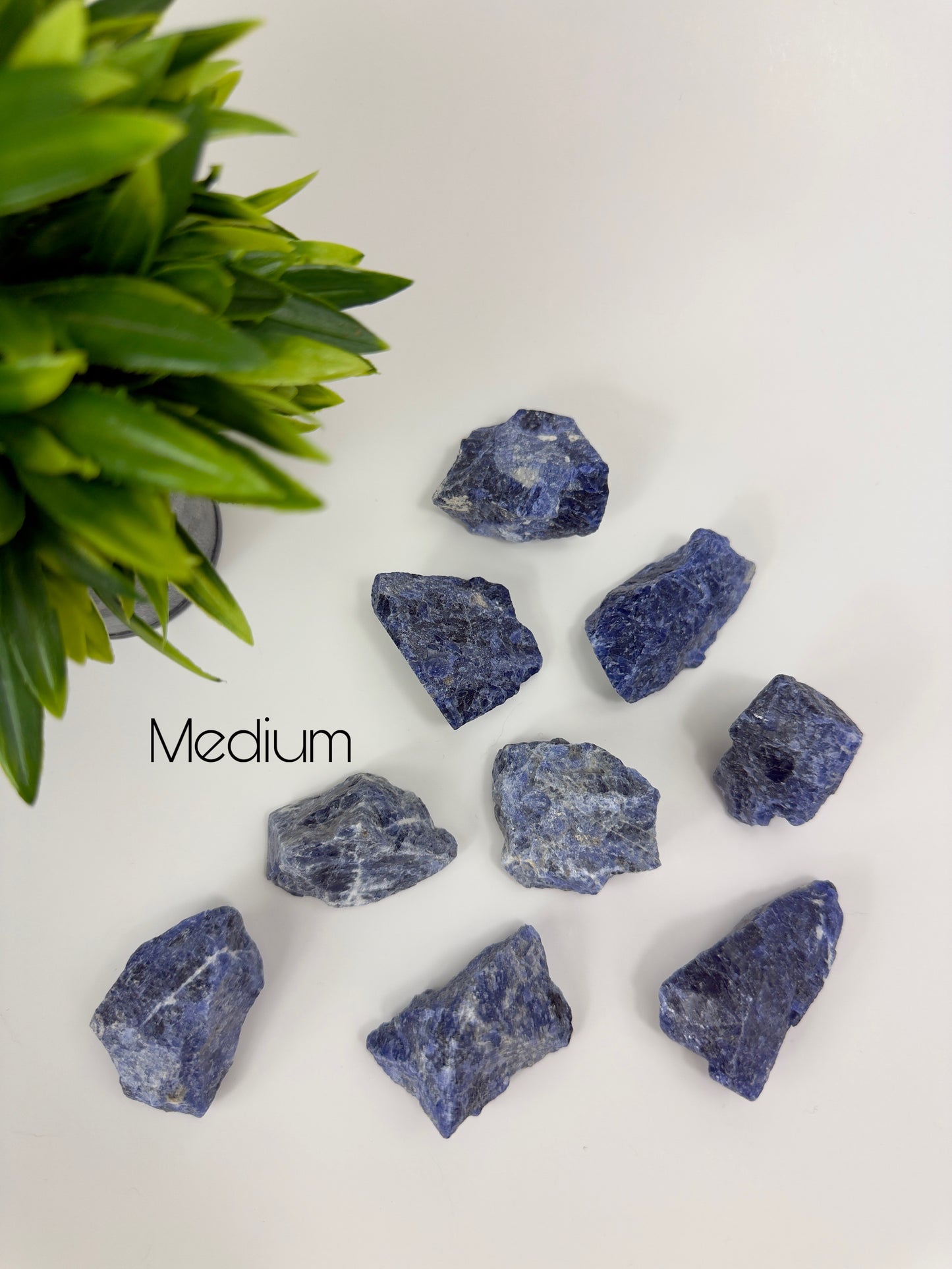 Sodalite Raw Pieces - Medium