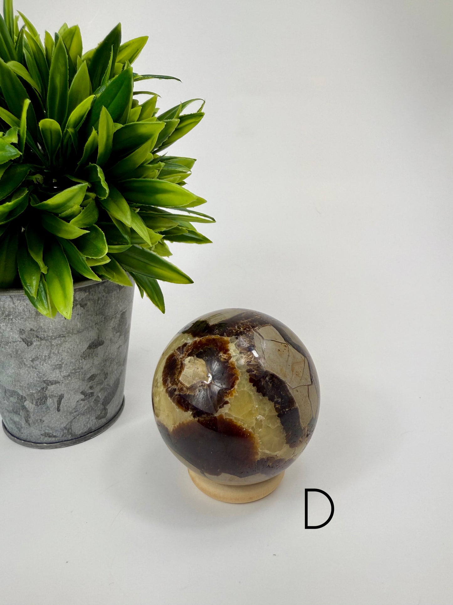 Septarian Sphere - D