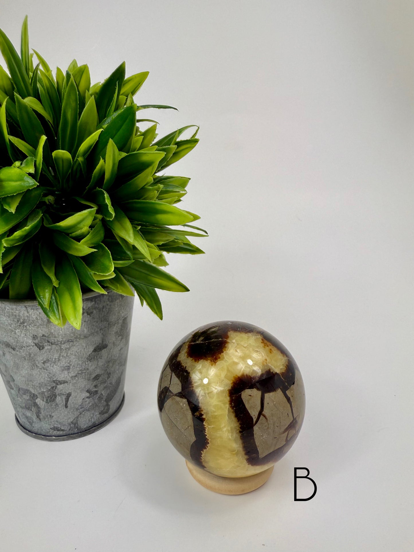 Septarian Sphere - B