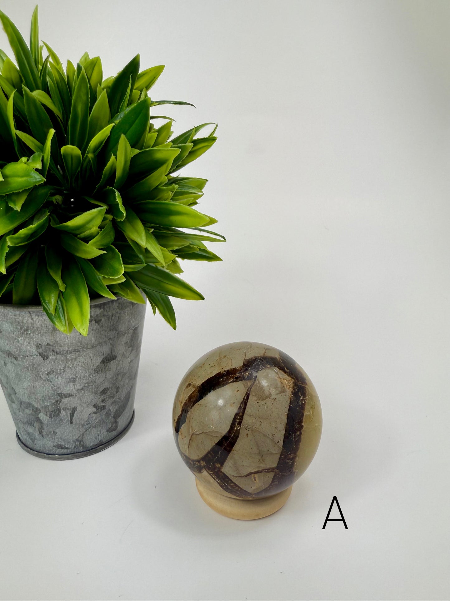 Septarian Sphere - A