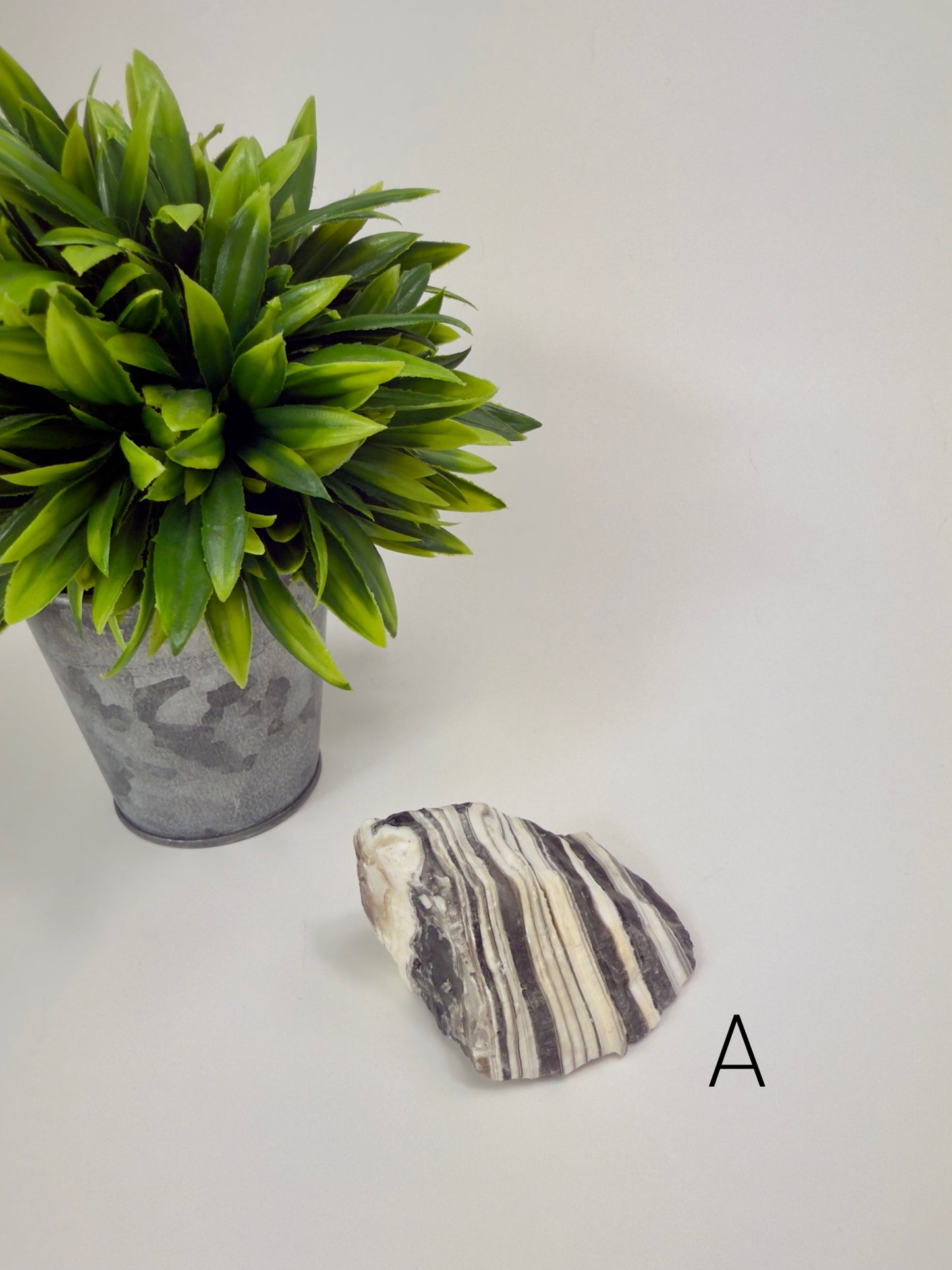 Zebra Calcite Raw Specimen A