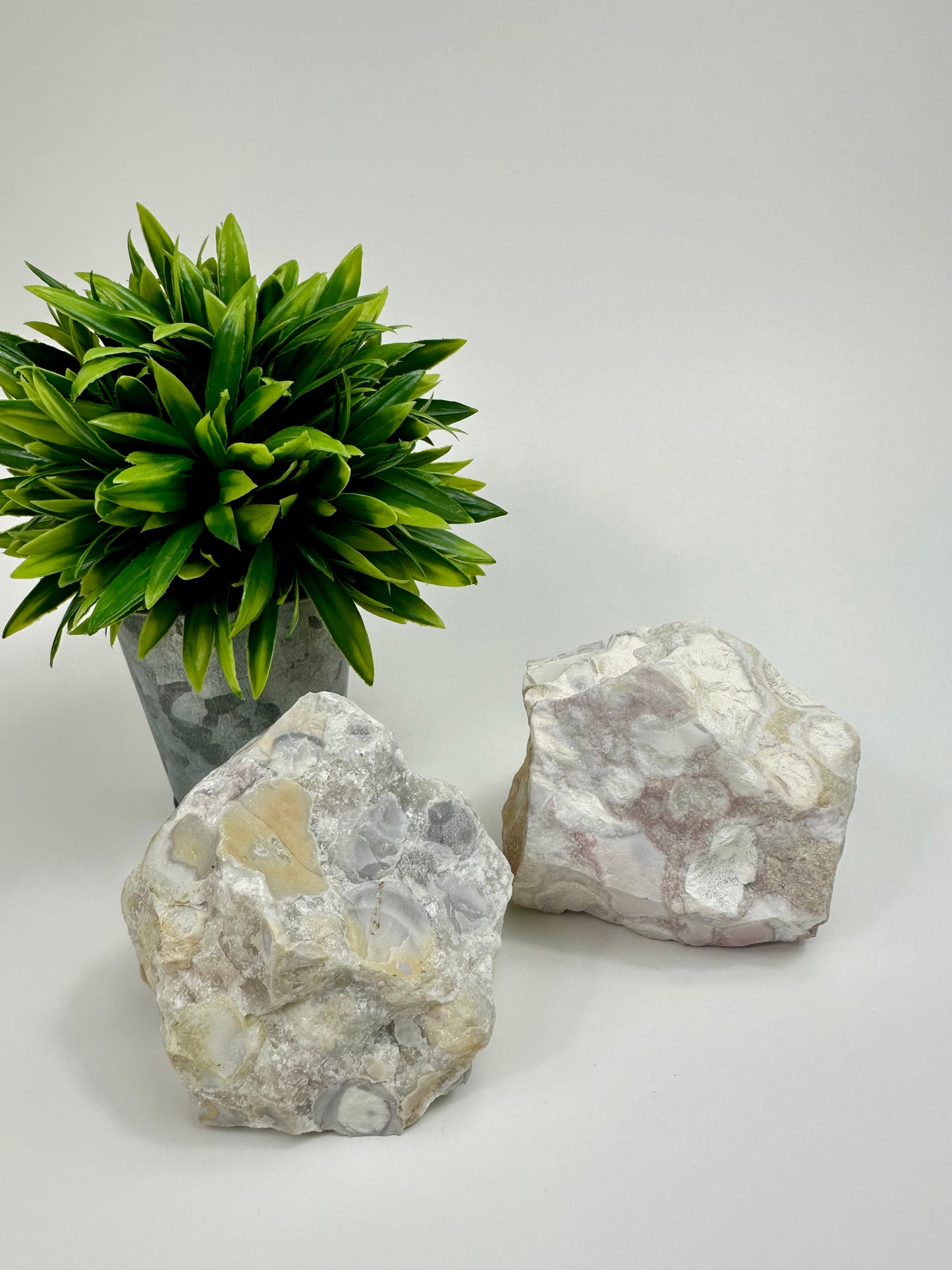 Orbicular Jasper Raw Specimens