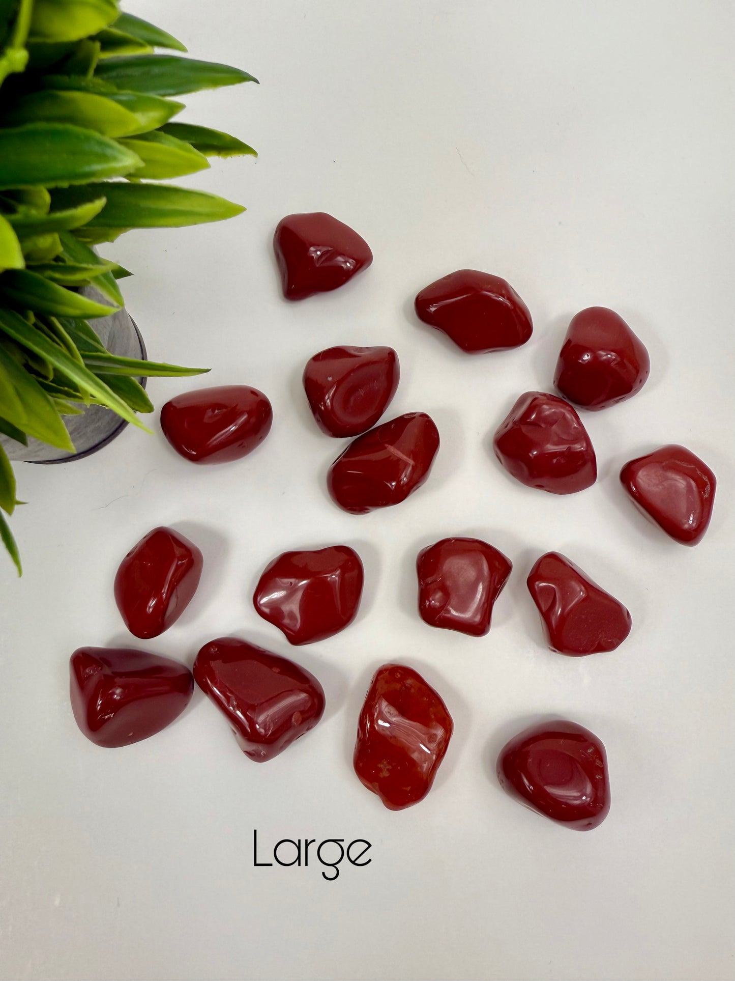 Red Jasper Tumbles - Large