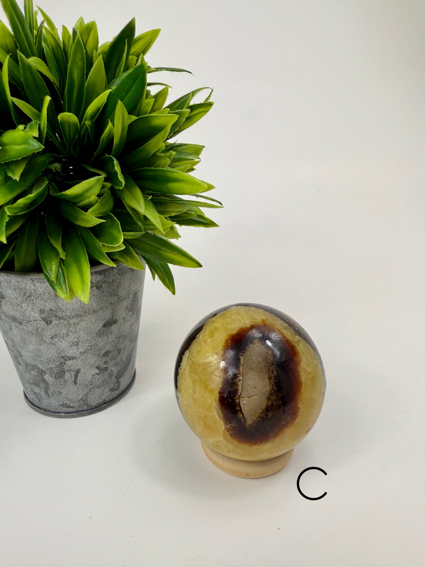 Septarian Sphere - C