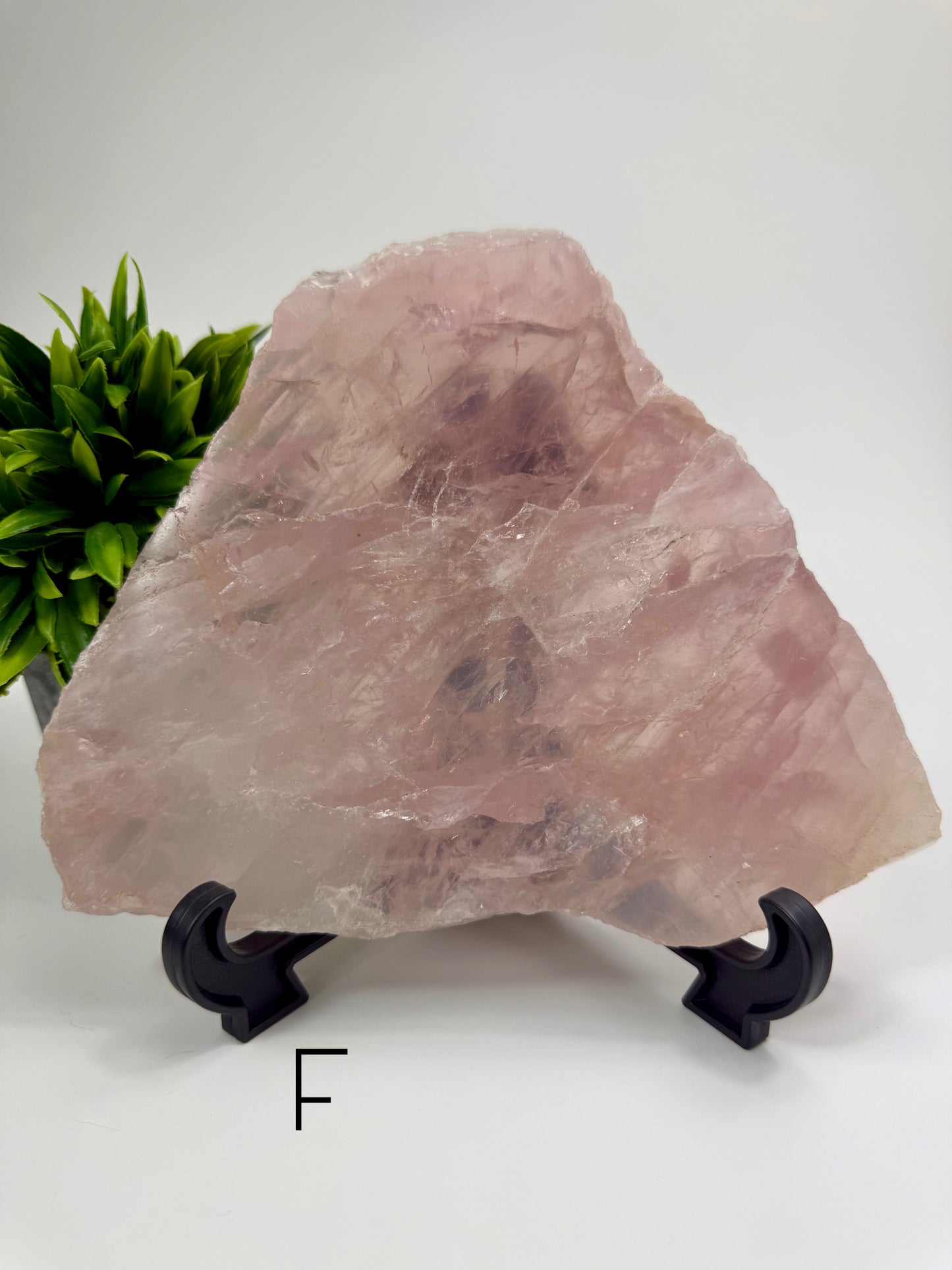 Rose Quartz Slab - F