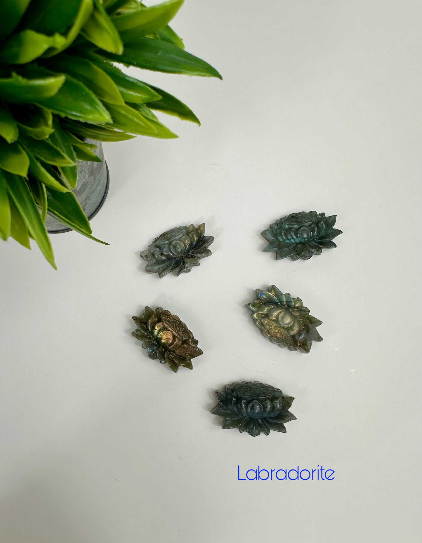 Labradorite Lotus Flower Carvings
