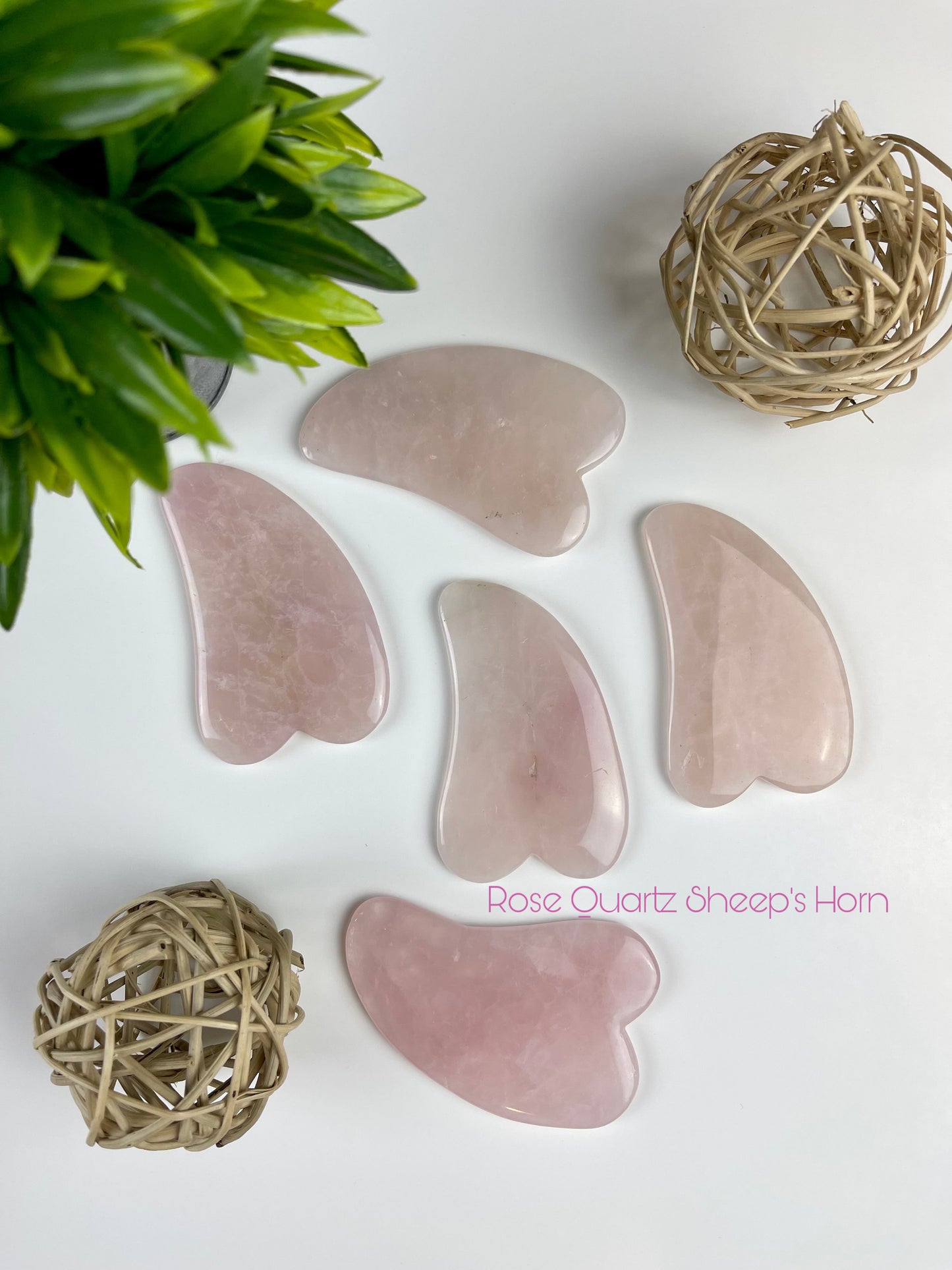 Rose Quartz Gua Sha Tools - Sheep's Horn