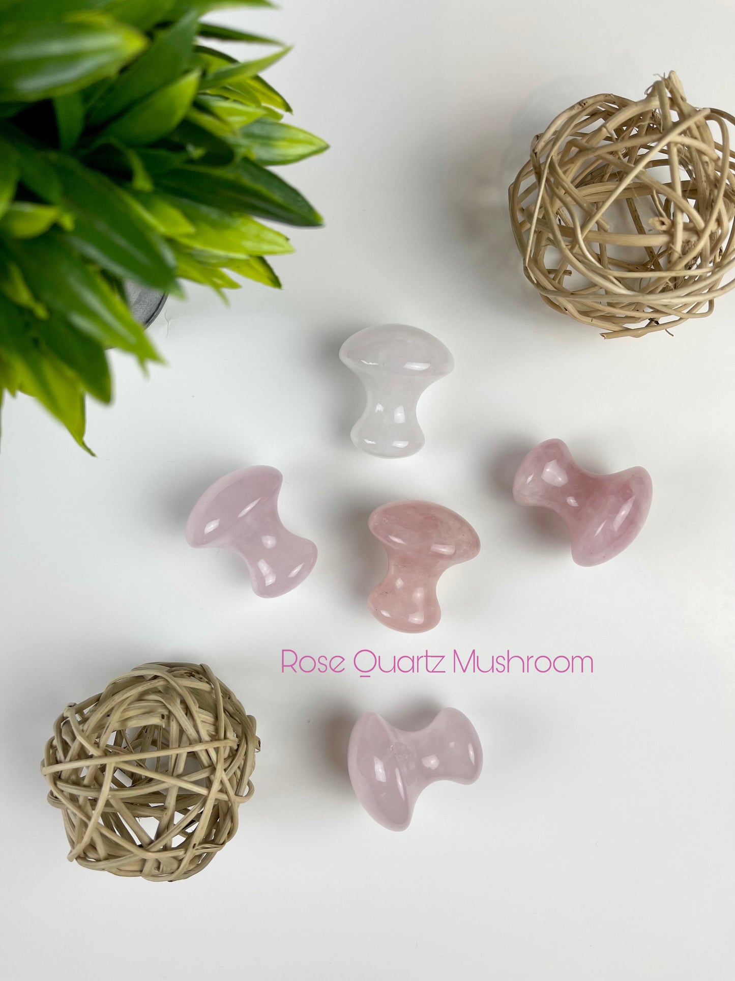 Rose Quartz Gua Sha Tools - Mushroom