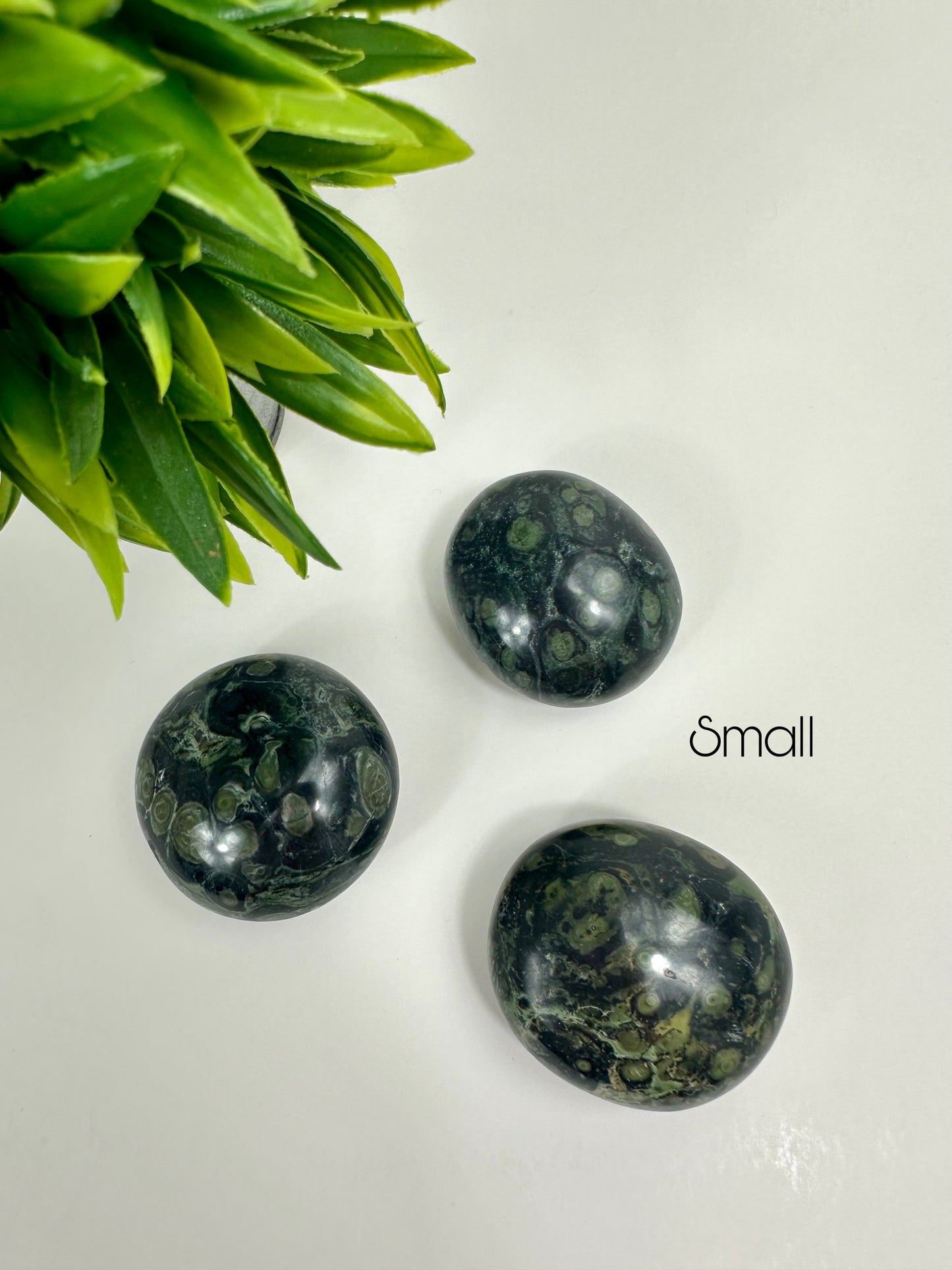 Small Kambaba Jasper Palm Stones