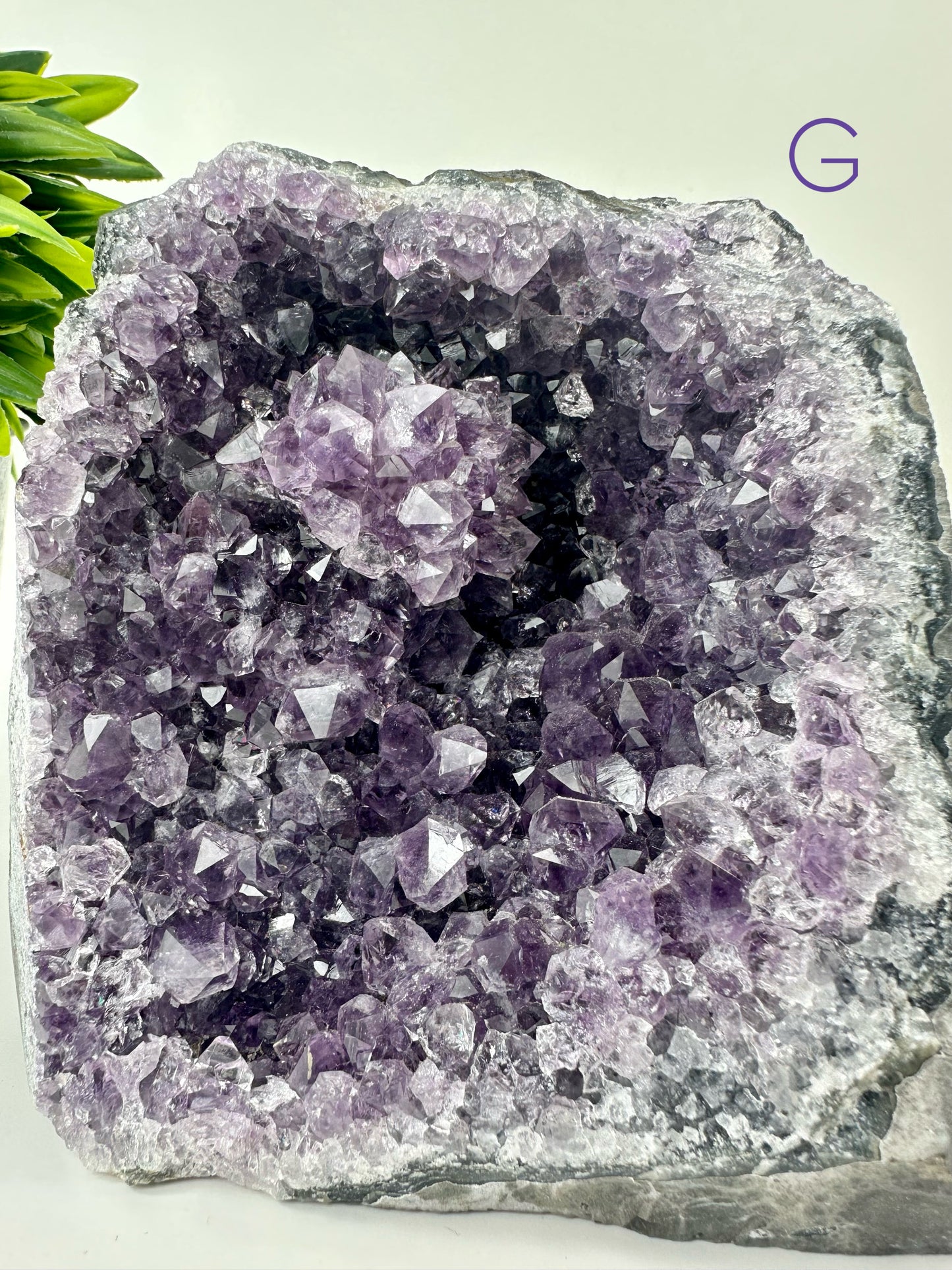Amethyst Cluster Freeform G