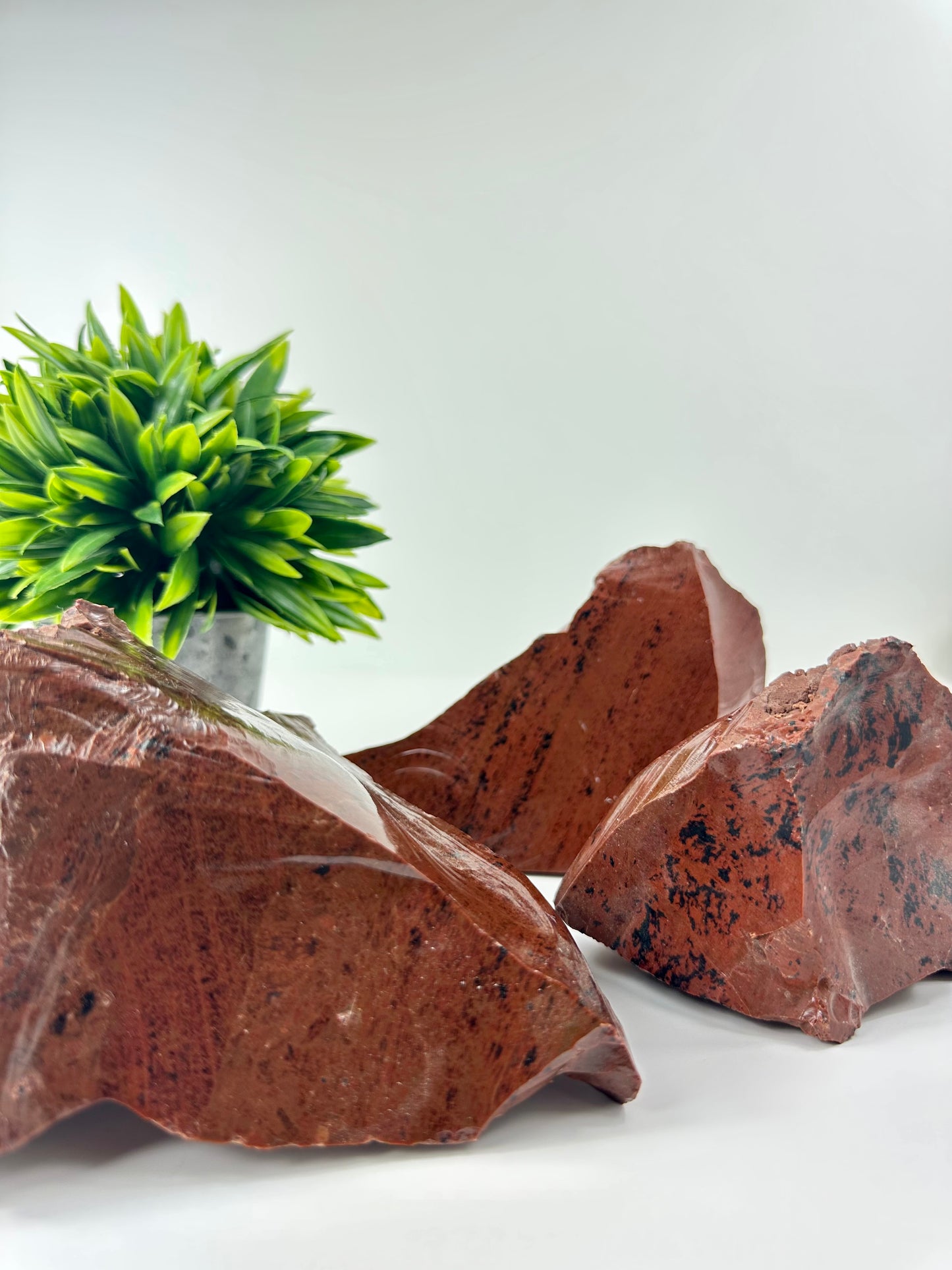 Mahogany Obsidian Raw Specimens