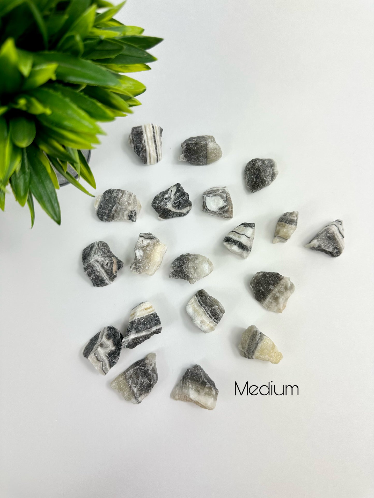 Medium Zebra Onyx Raw Pieces