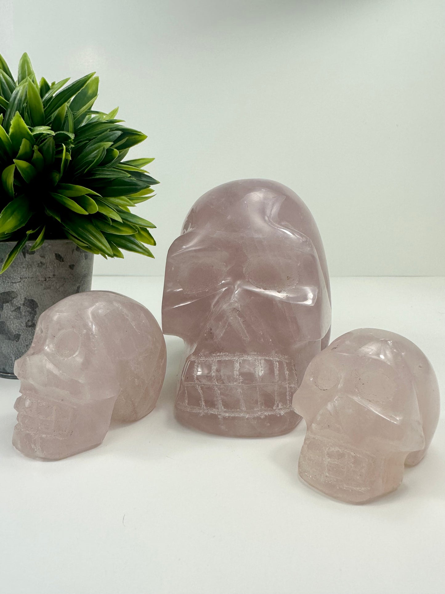 Rose Quartz Skulls