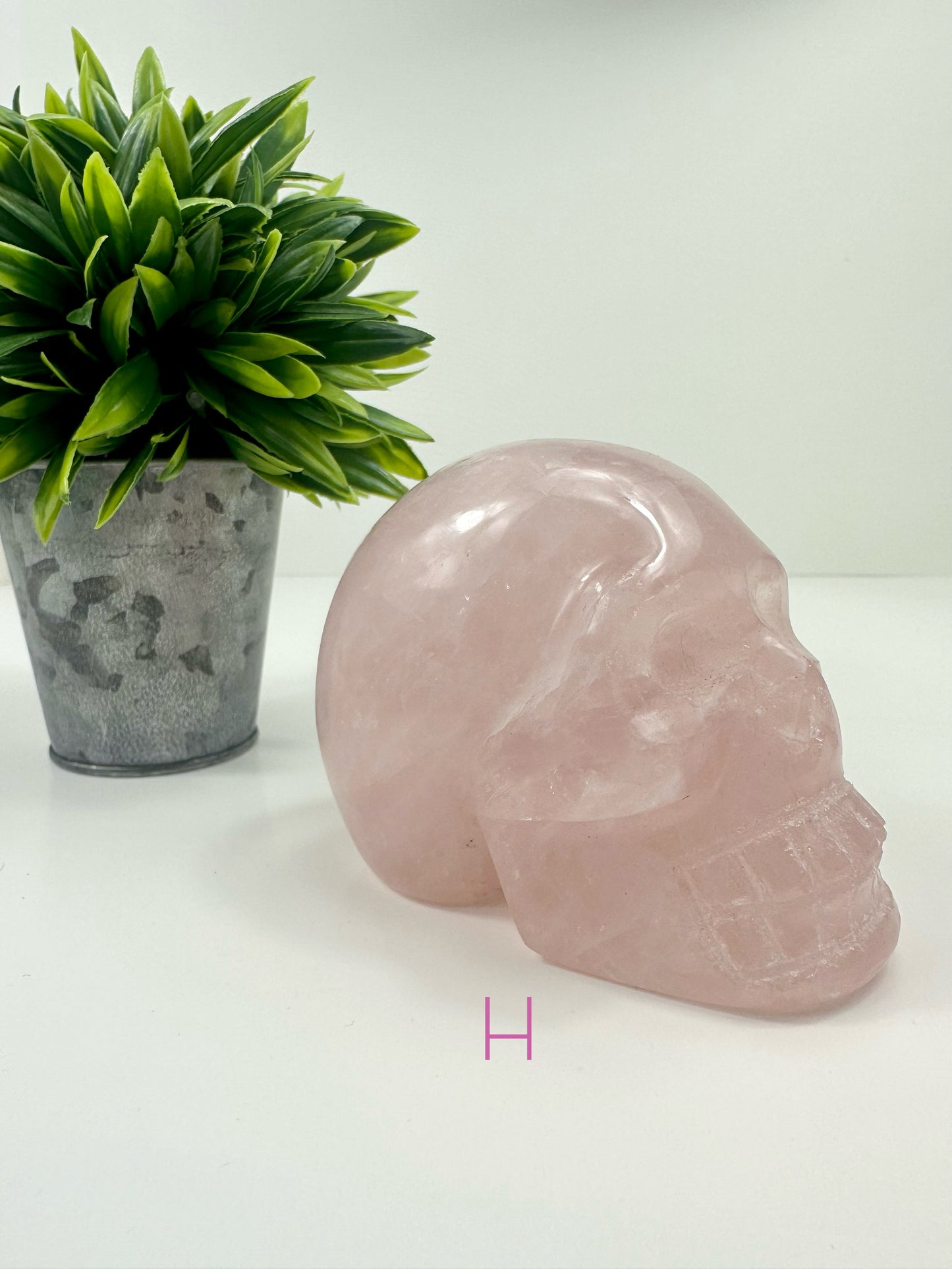 Rose Quartz Skull H