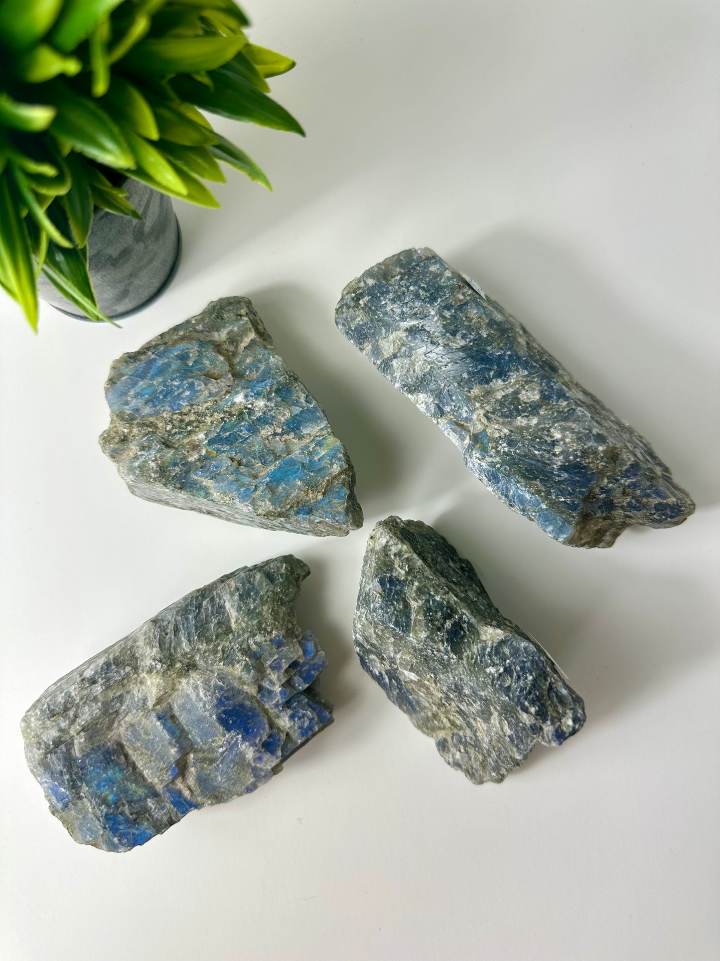 Labradorite Raw Specimens