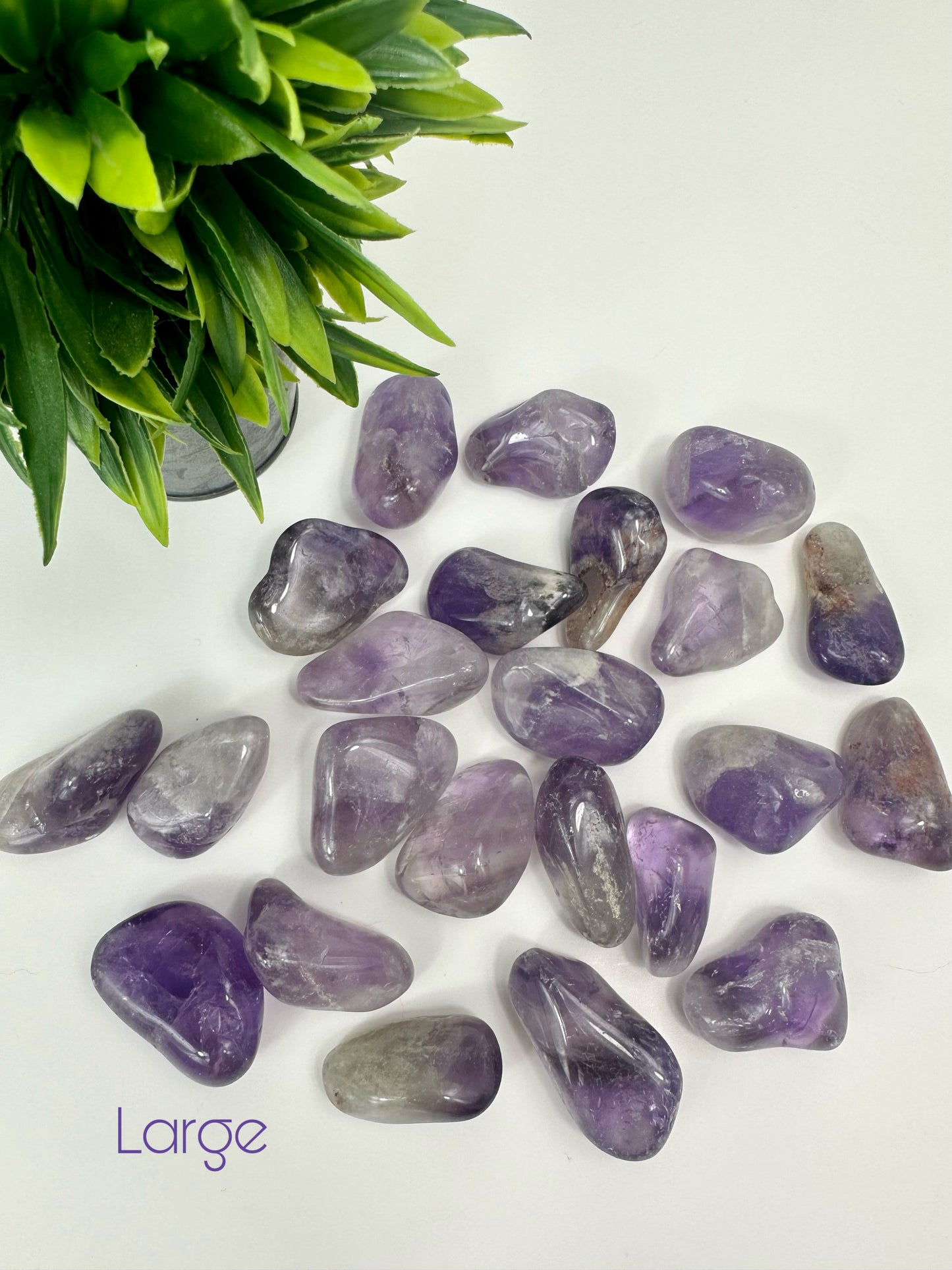 Large Amethyst Tumbles