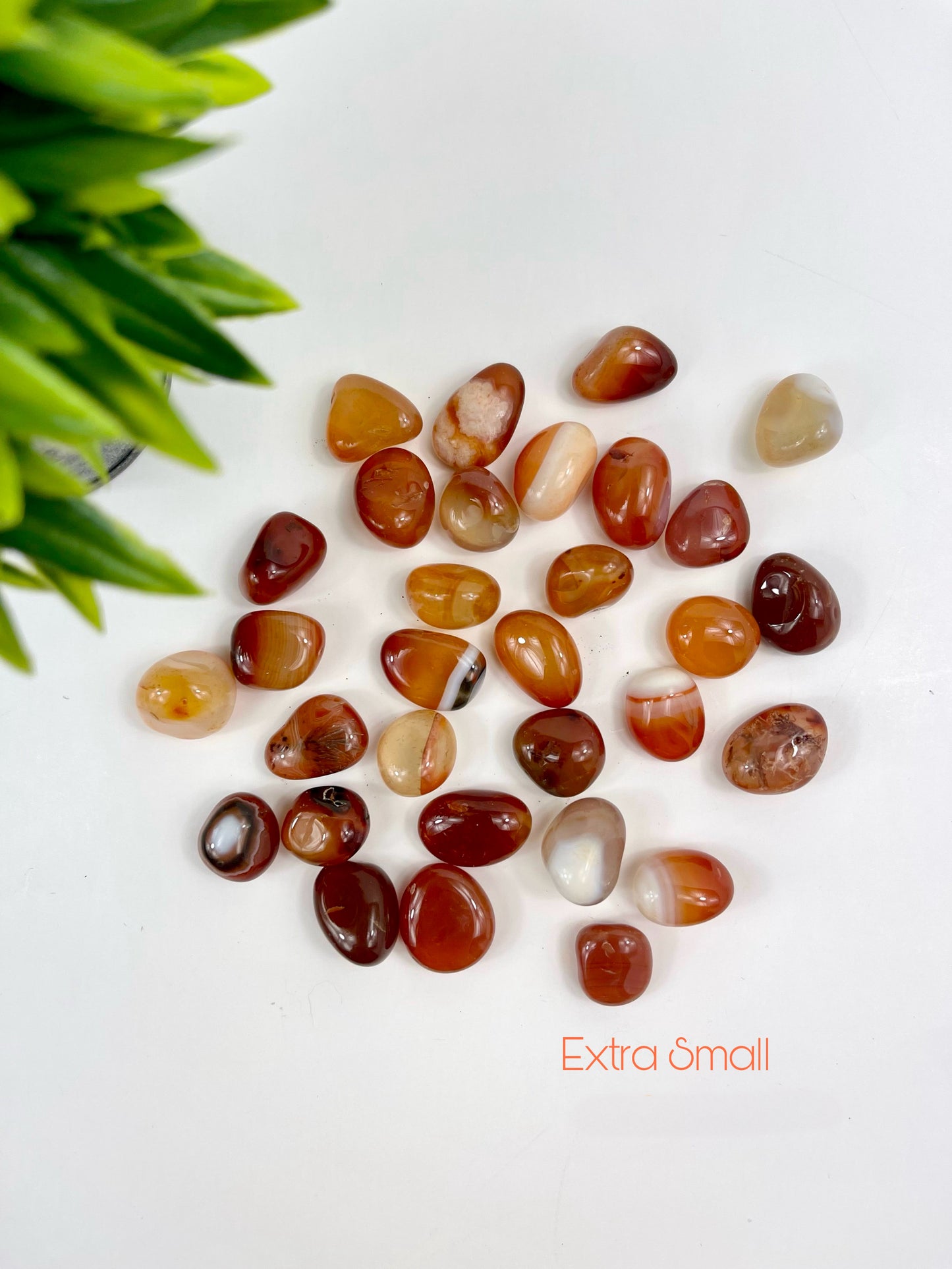 Extra Small Carnelian Tumbles