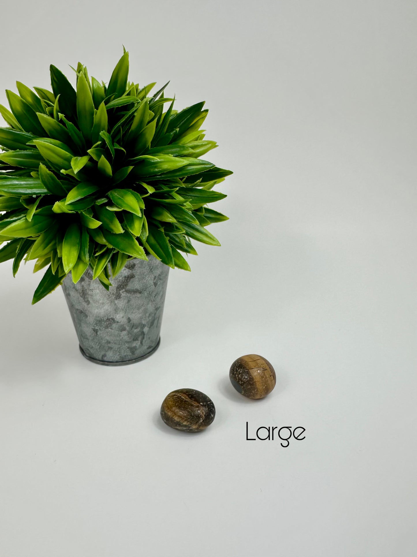 Golden Tiger's Eye Tumbles - Large