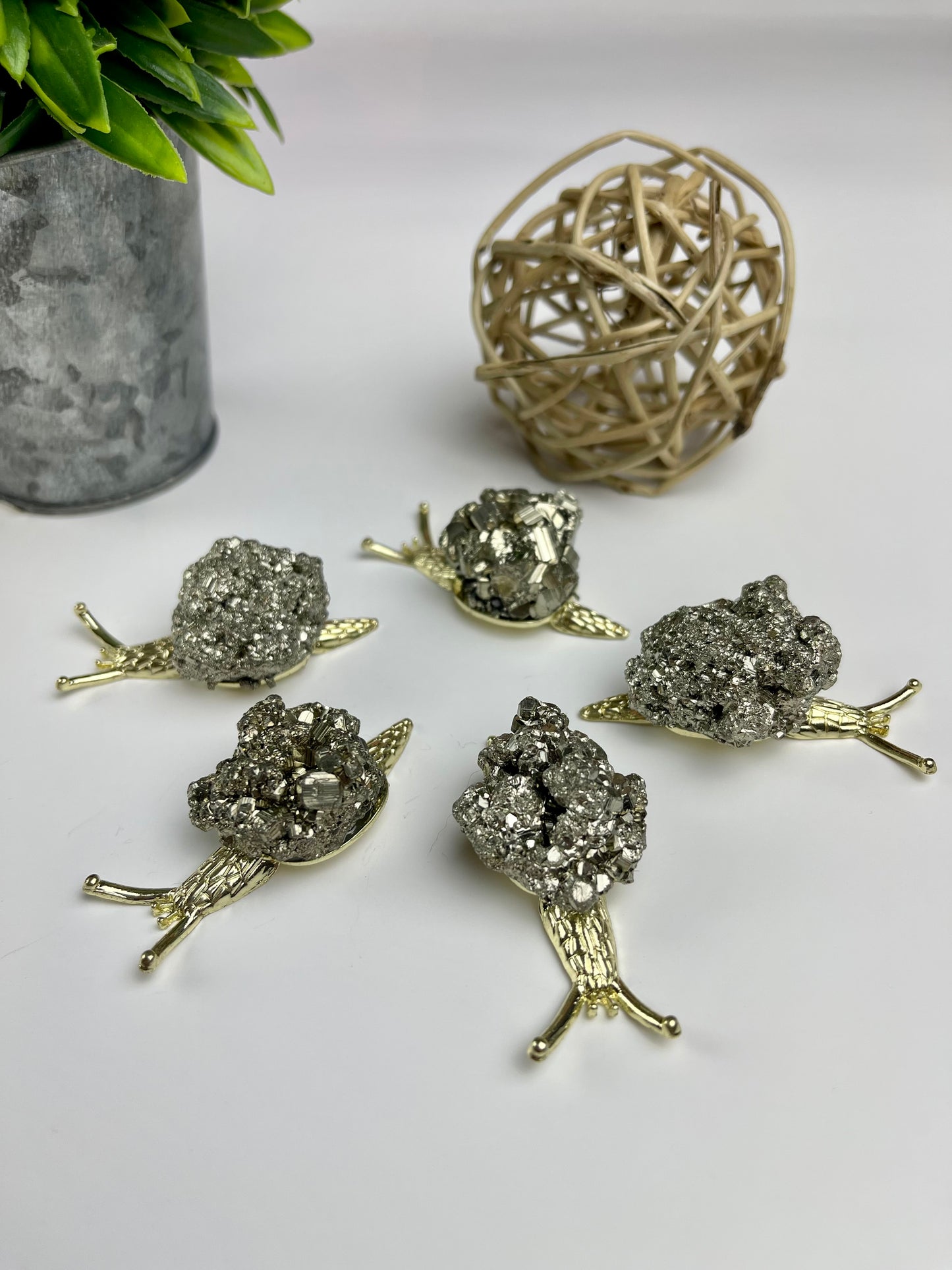 Pyrite Snails
