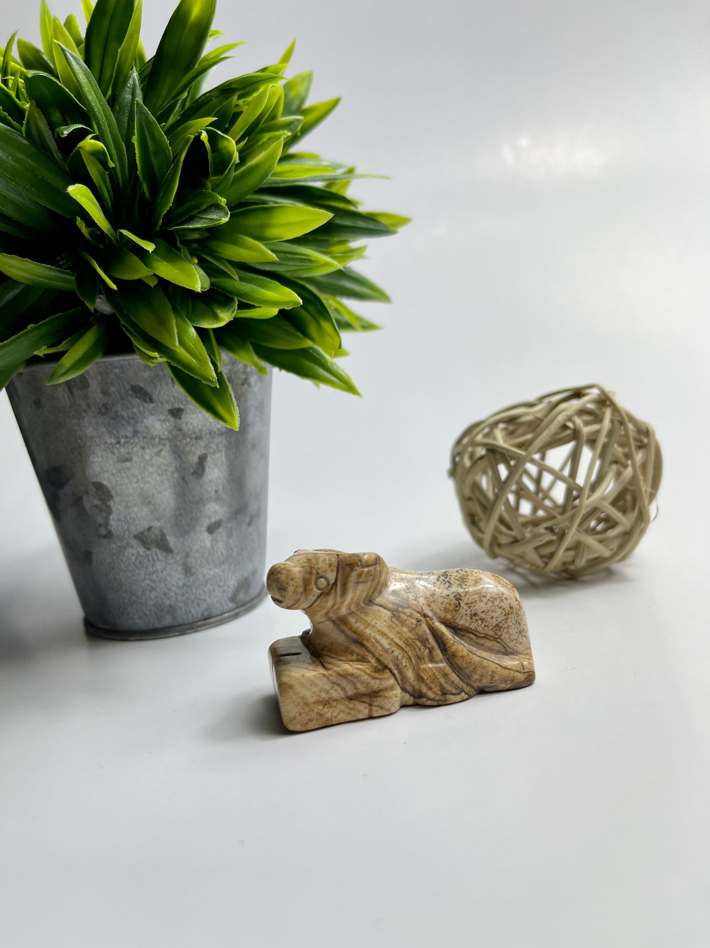 Picture Jasper Animals - Canadian Crystal Queens