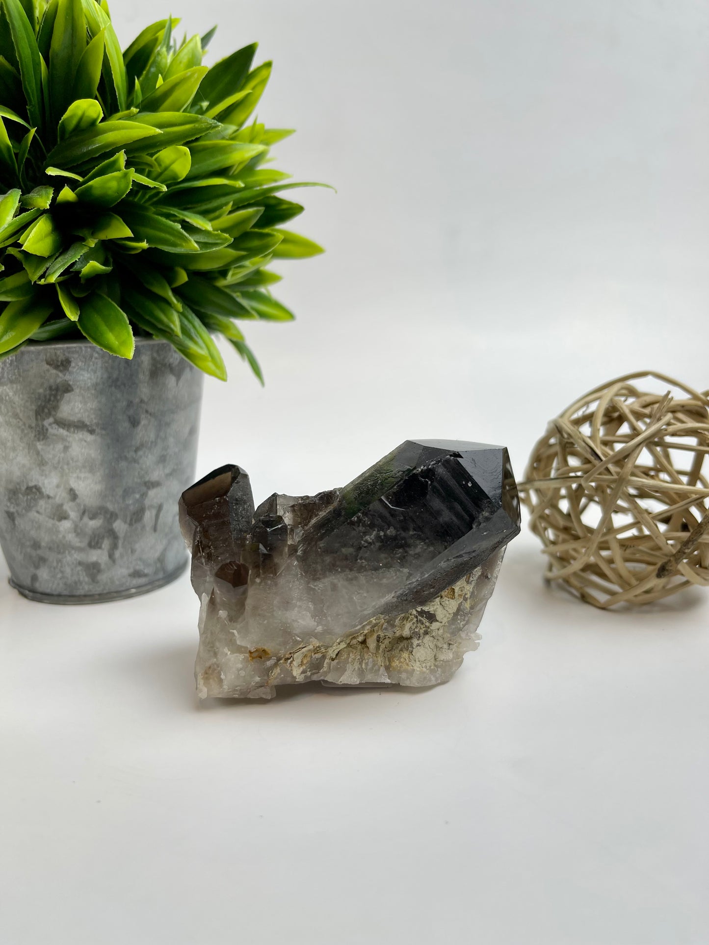 Smokey Quartz Cluster #8 (Dark) - Canadian Crystal Queens