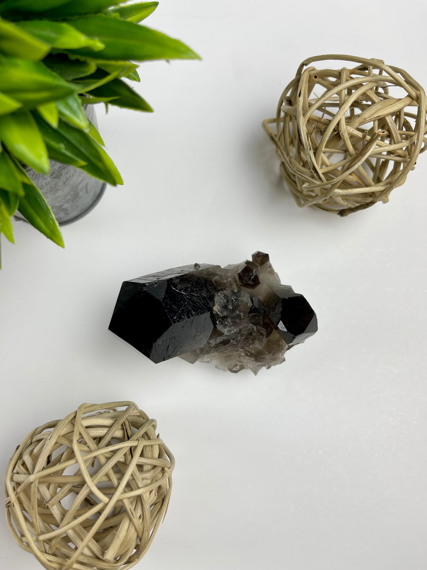 Smokey Quartz Cluster #8 (Dark) - Canadian Crystal Queens