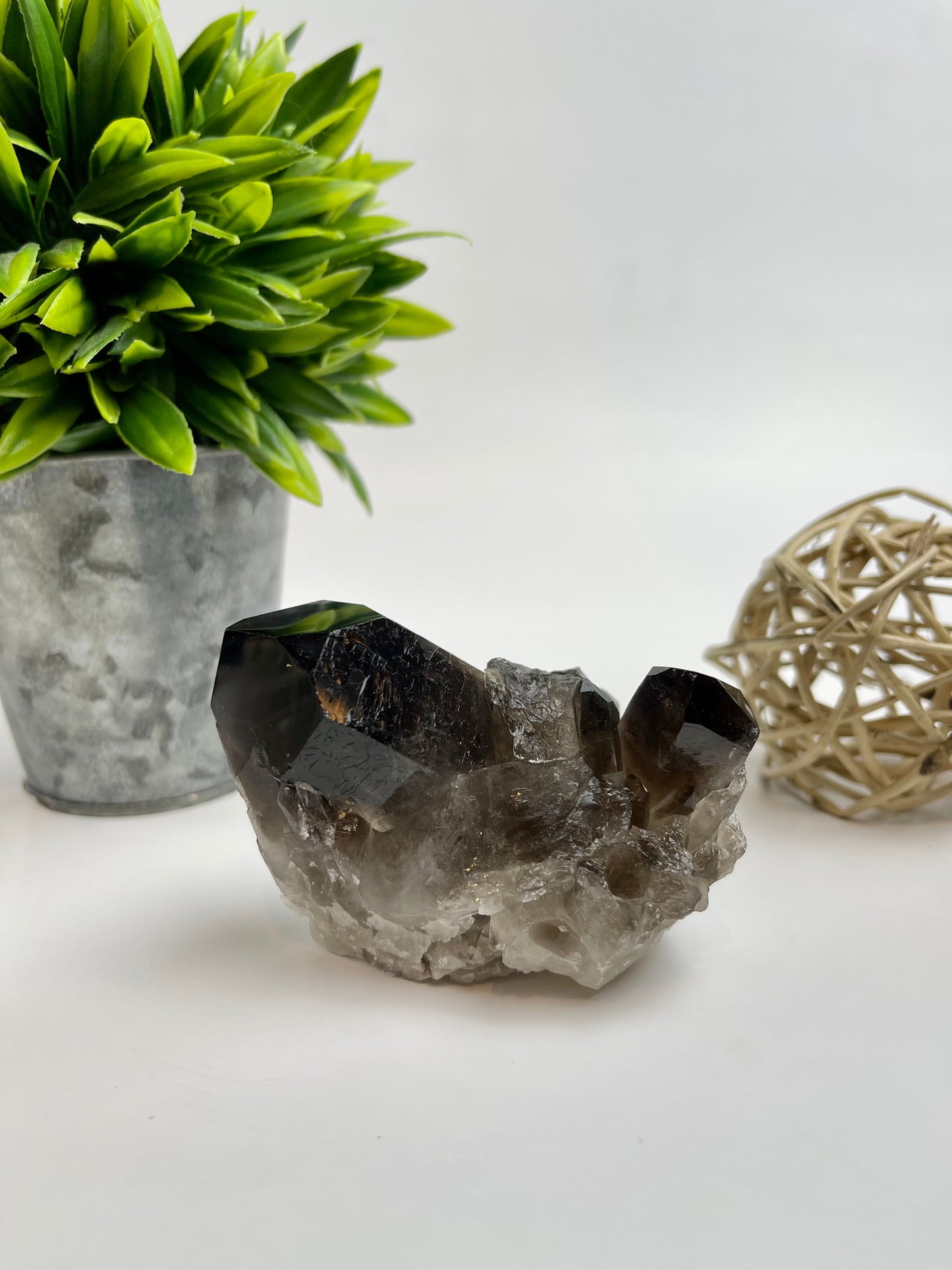 Smokey Quartz Cluster #8 (Dark) - Canadian Crystal Queens
