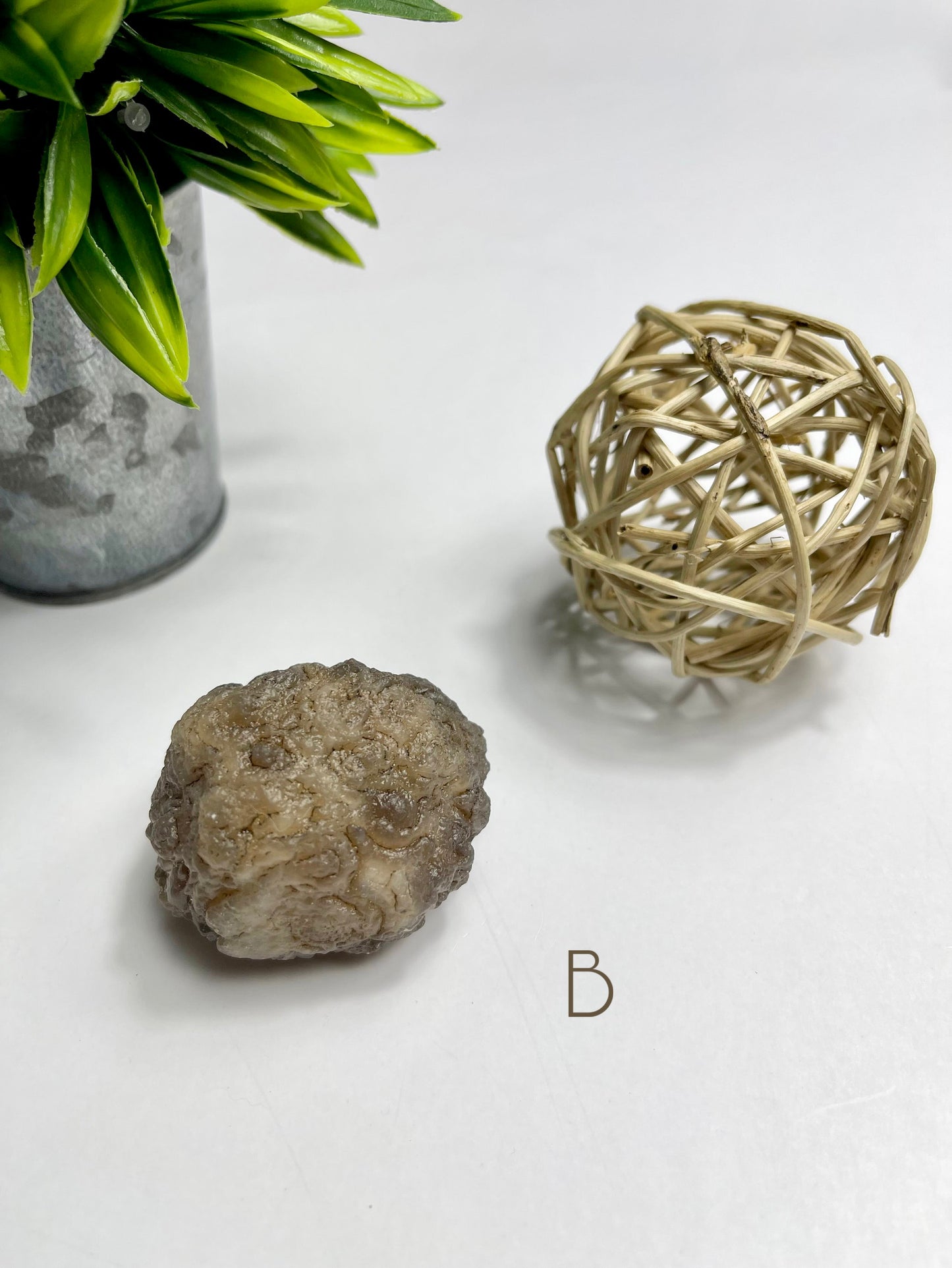 Brown Chalcedony Raw Specimen B