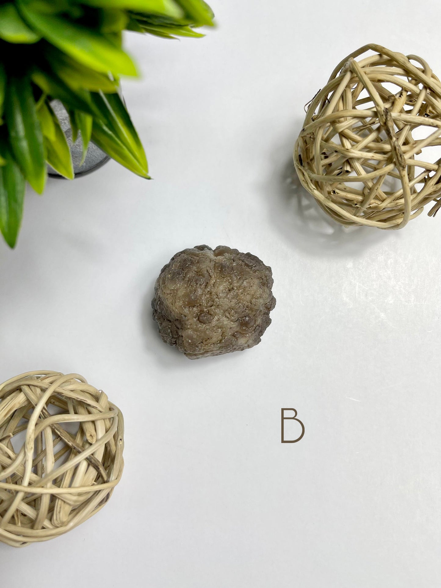 Brown Chalcedony Raw Specimen B