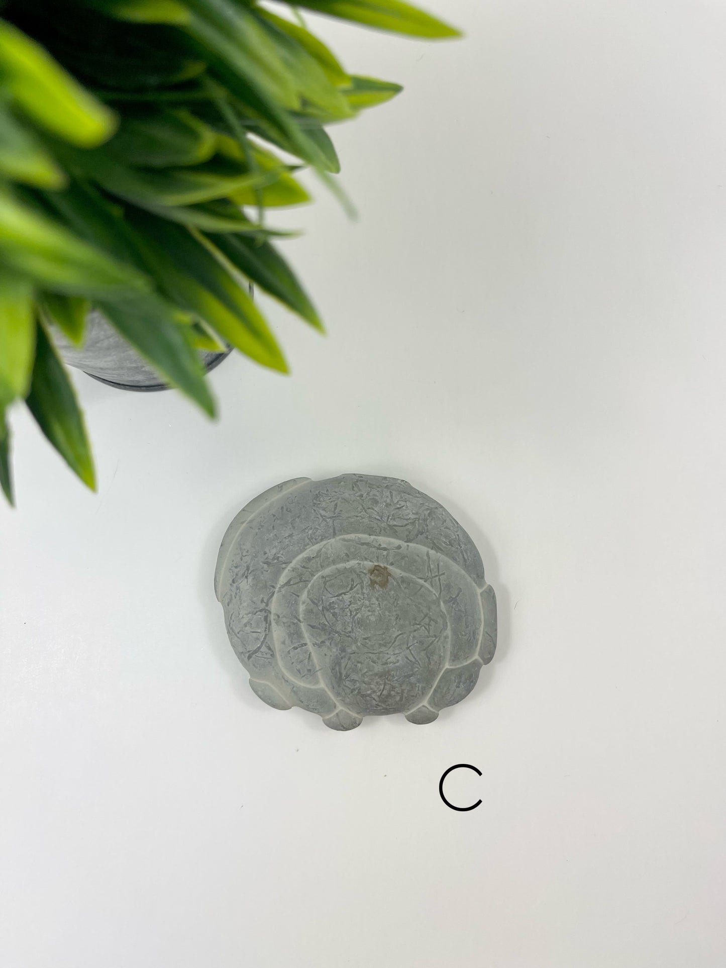 Fairy Stone C