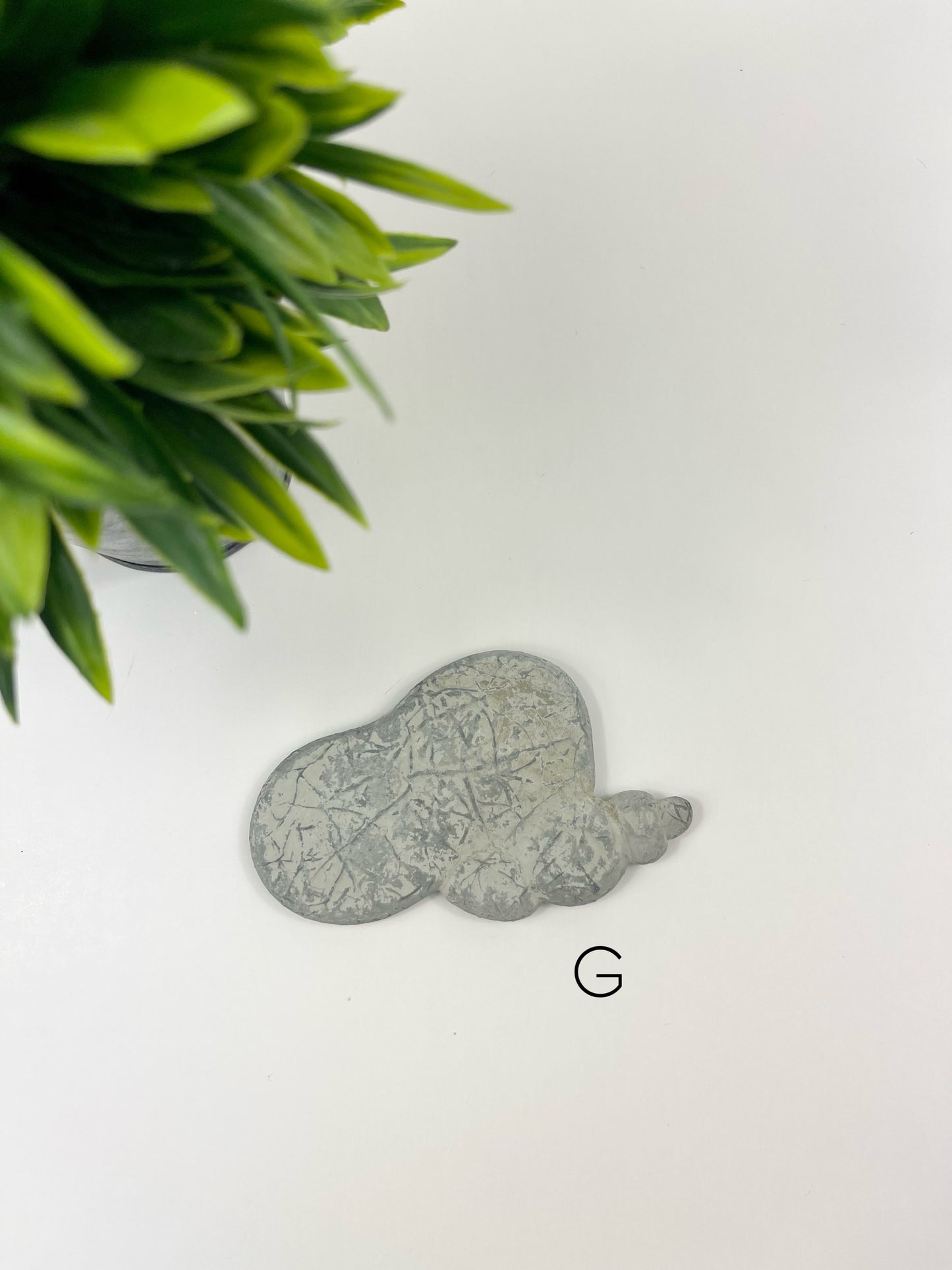Fairy Stone G