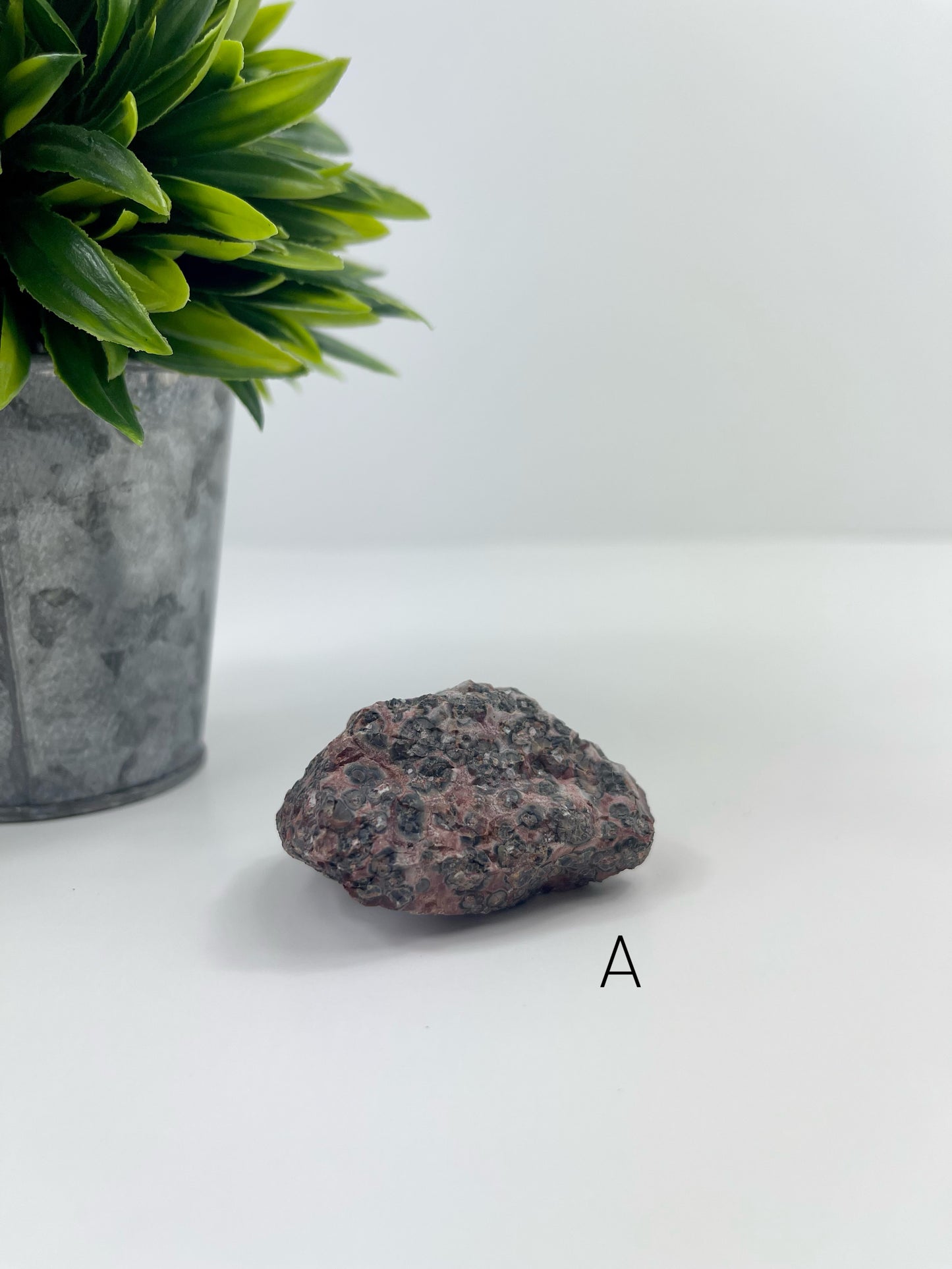 Leopardskin Jasper Raw Specimen A