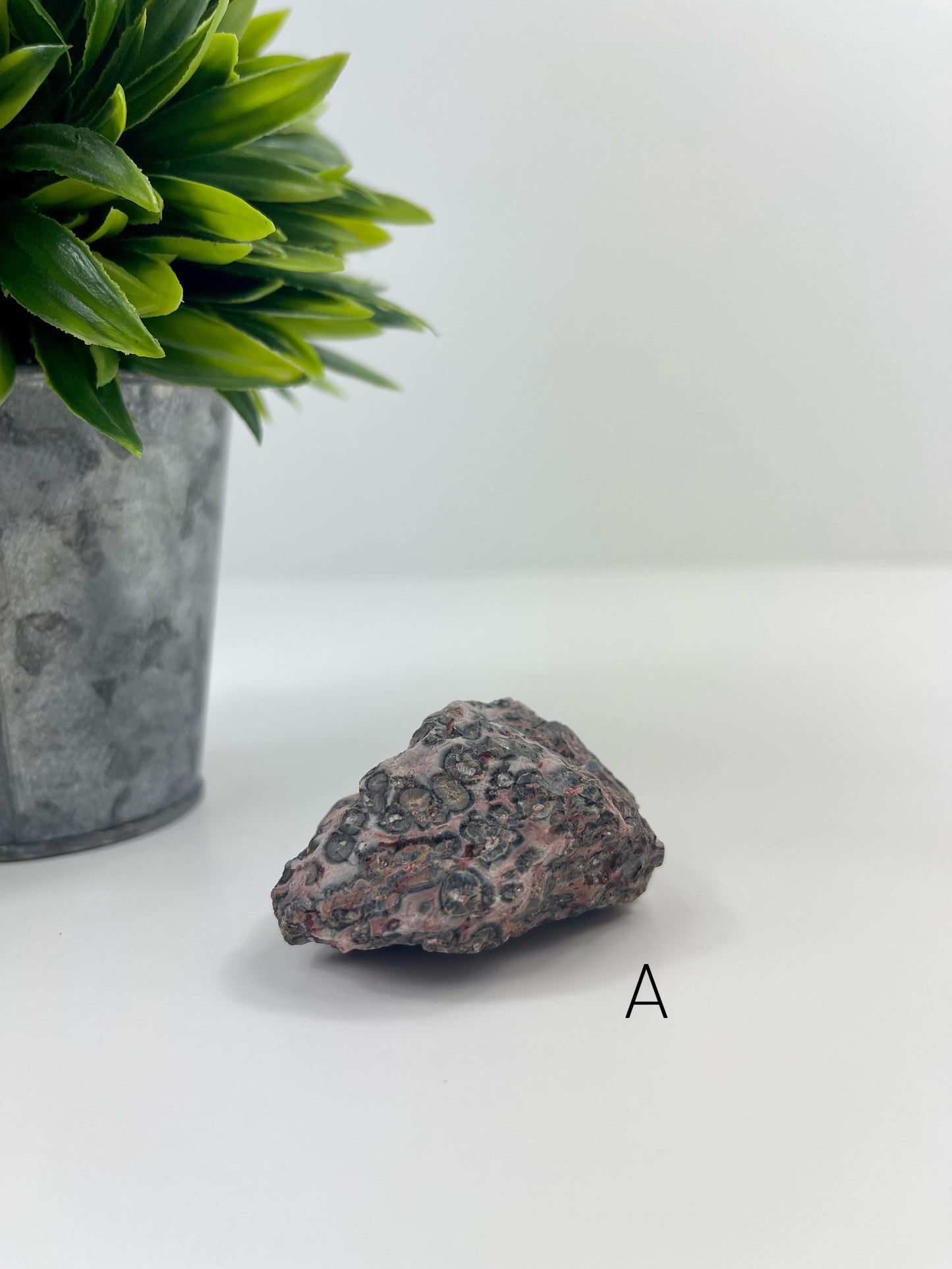Leopardskin Jasper Raw Specimen A