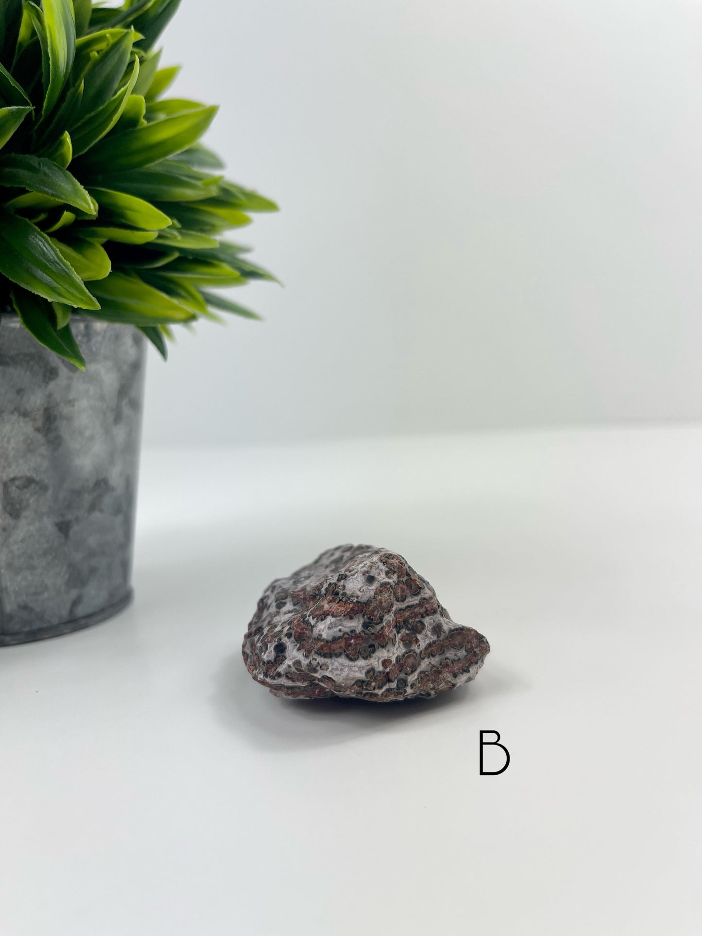 Leopardskin Jasper Raw Specimen B