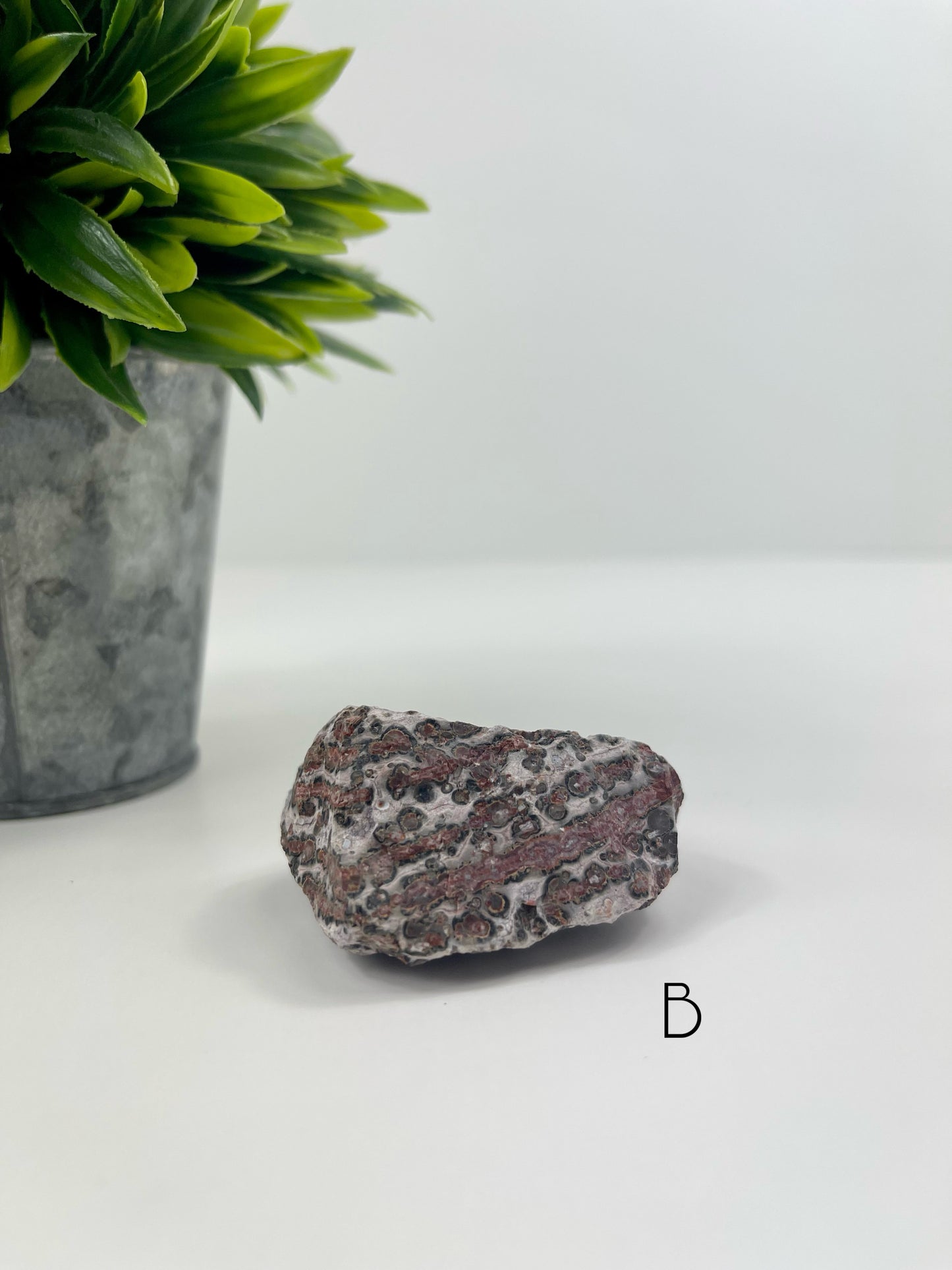 Leopardskin Jasper Raw Specimen B