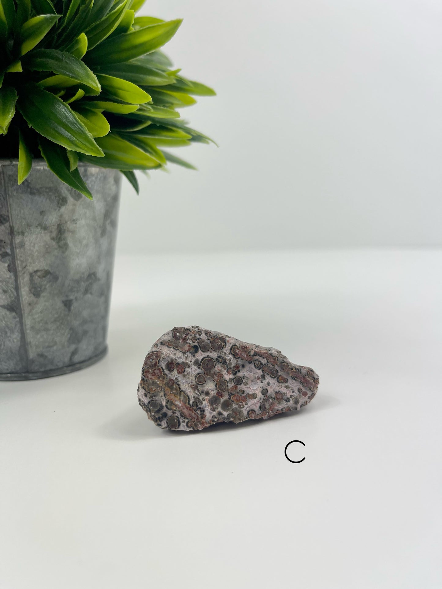 Leopardskin Jasper Raw Specimen C