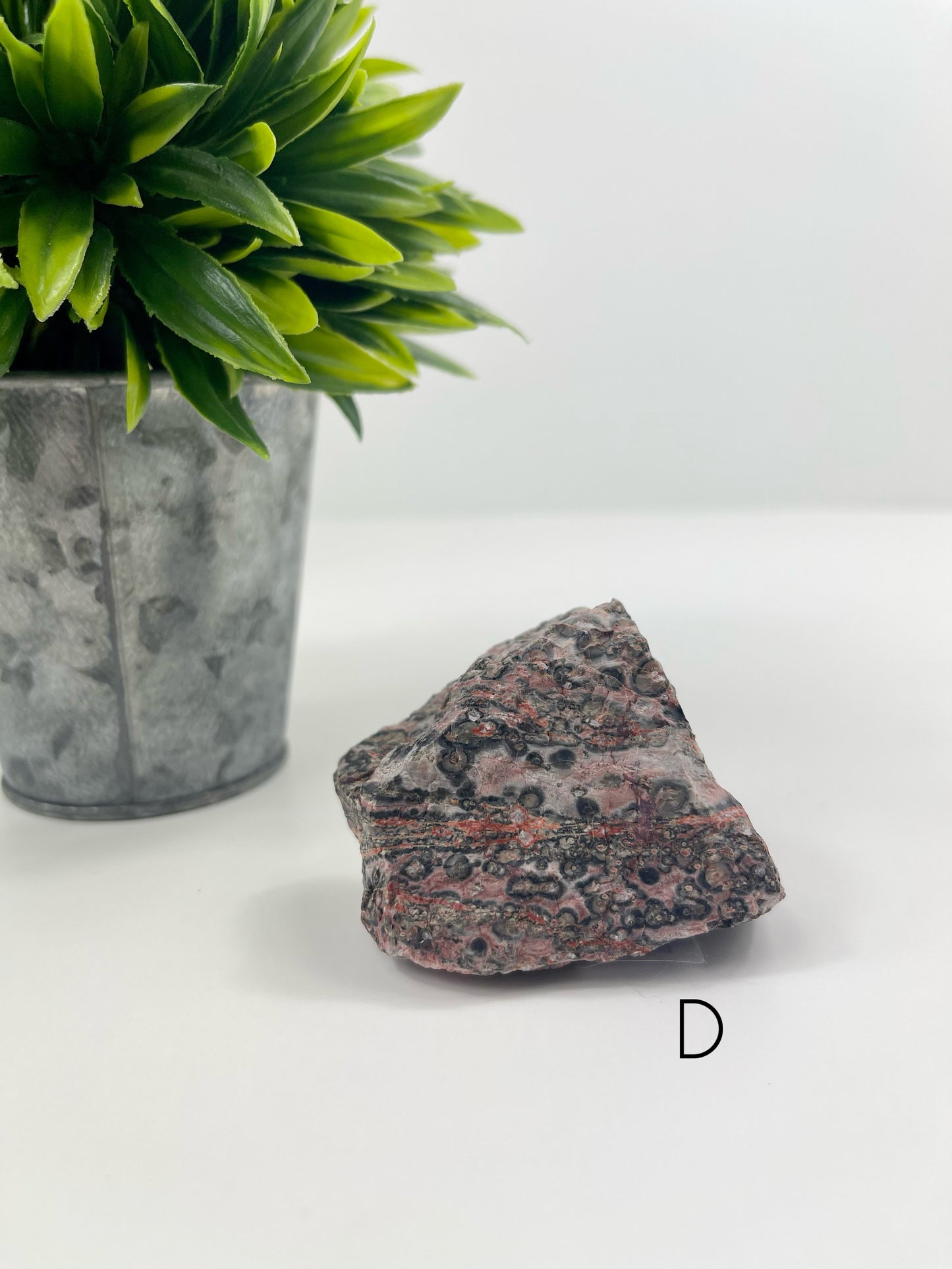 Leopardskin Jasper Raw Specimen D