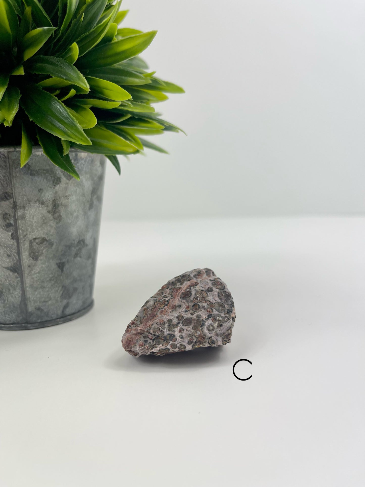 Leopardskin Jasper Raw Specimen C