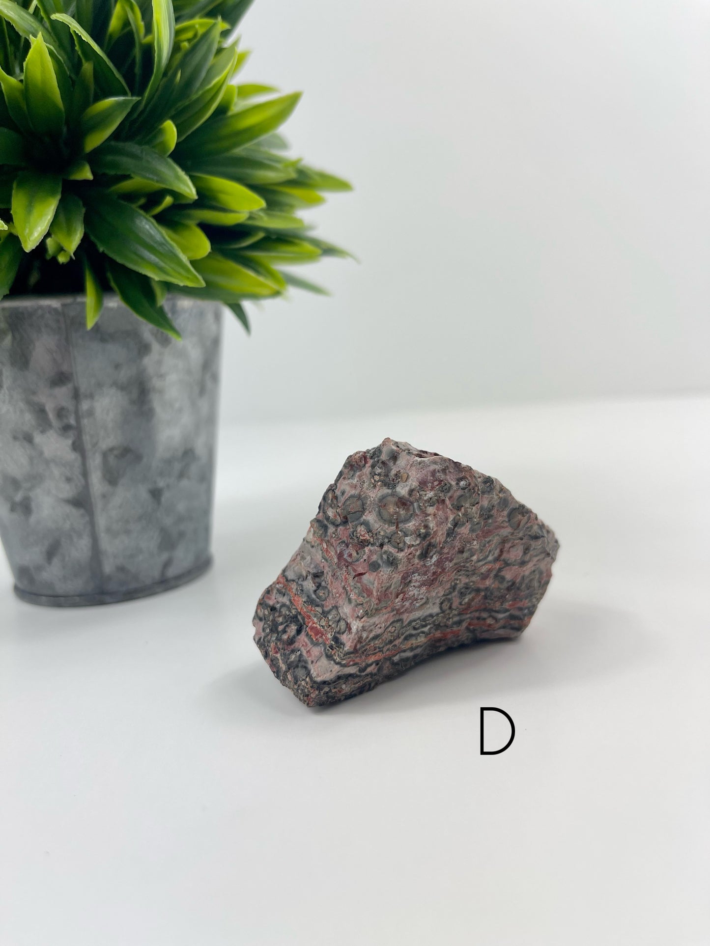 Leopardskin Jasper Raw Specimen D
