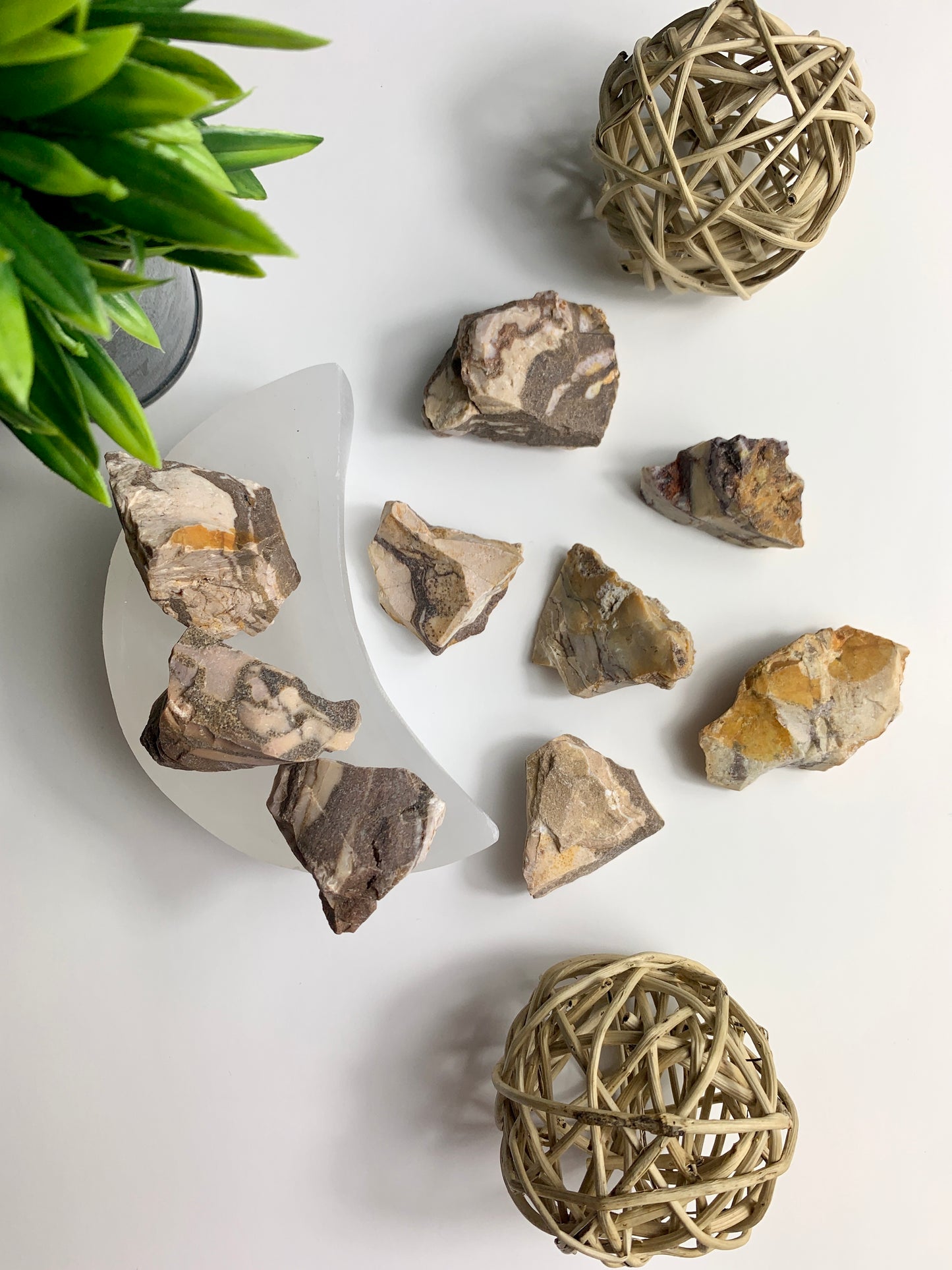 Zebra Jasper Raw Pieces
