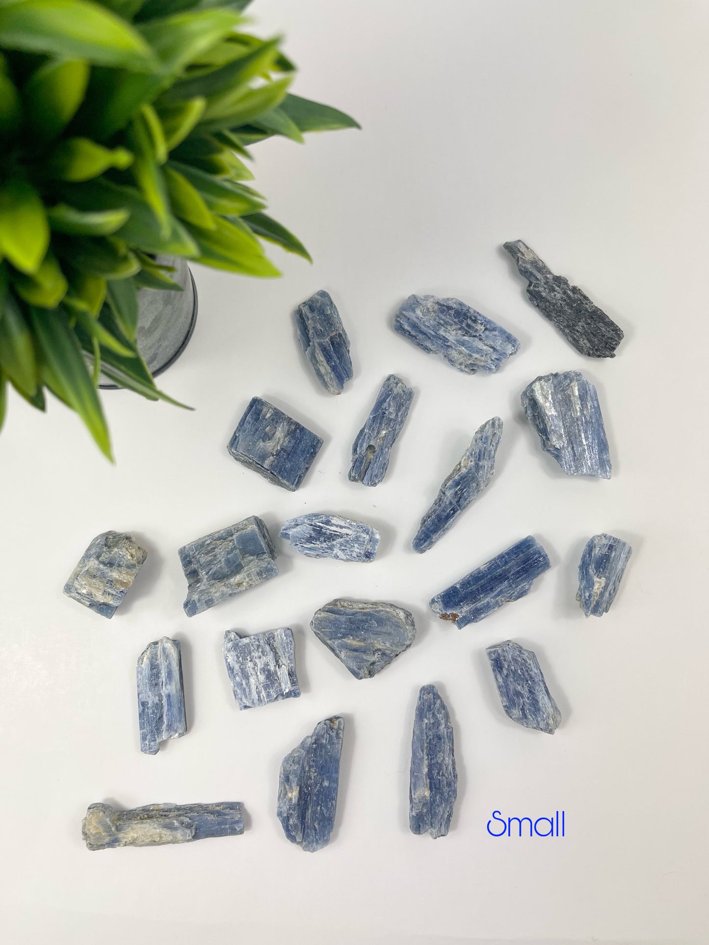 Small Blue Kyanite Blades