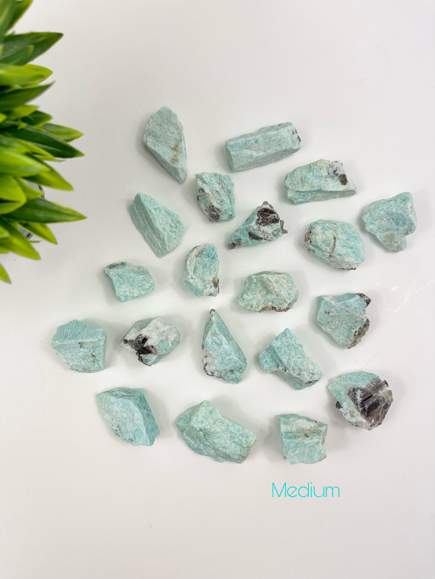 Amazonite Medium Raw Pieces
