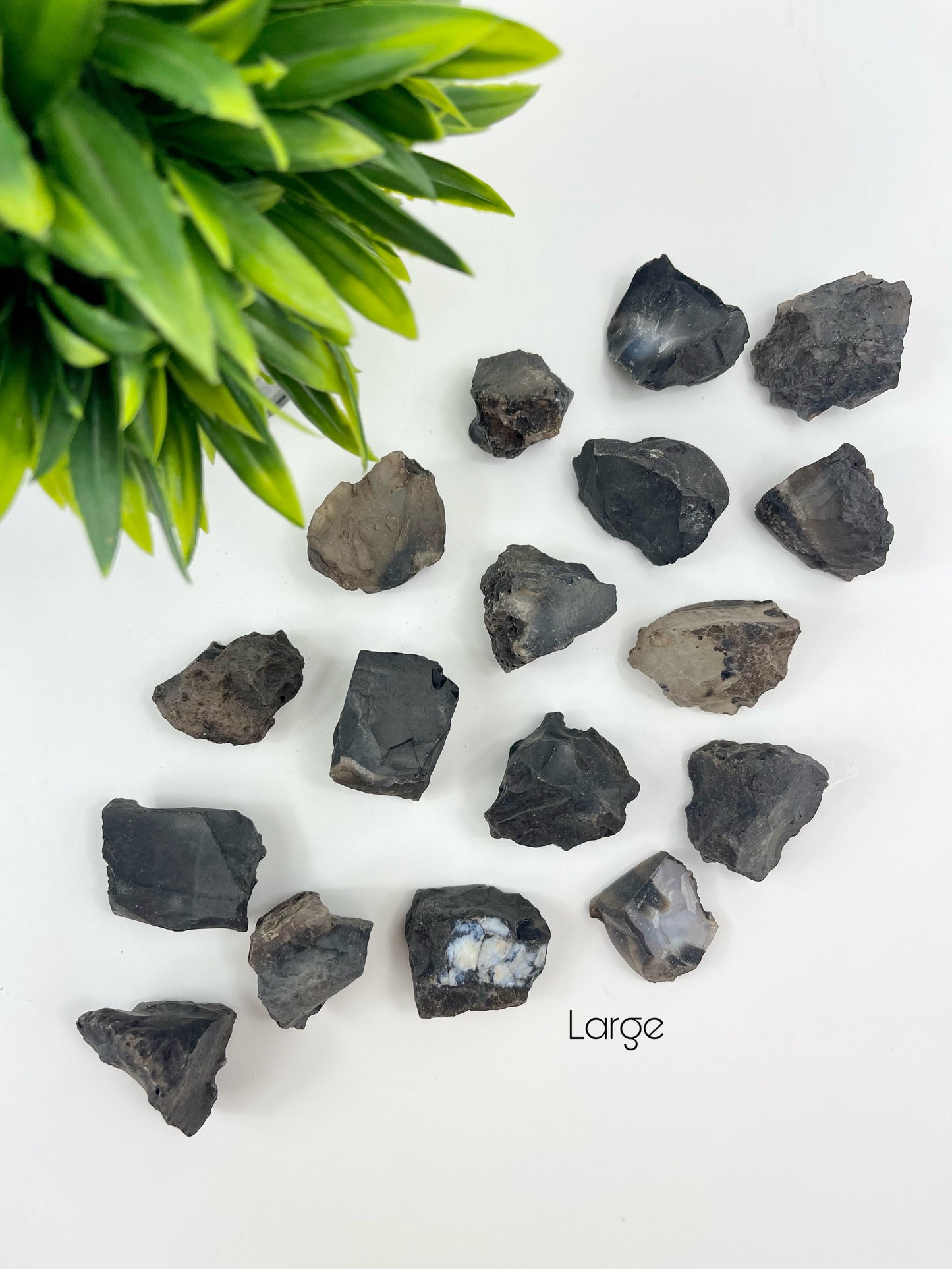 Large Black Onyx Raw Pieces