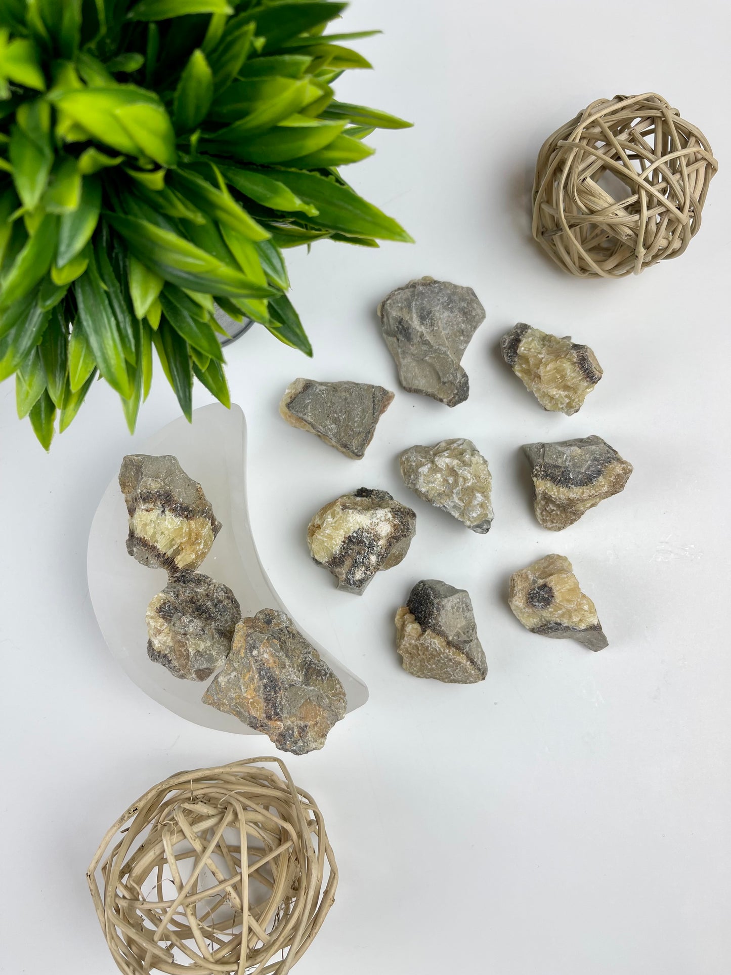 Septarian Raw Pieces - Canadian Crystal Queens
