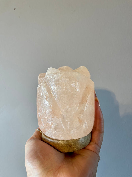 USB Colour Changing Pink Himalayan Salt Lamp - Flower