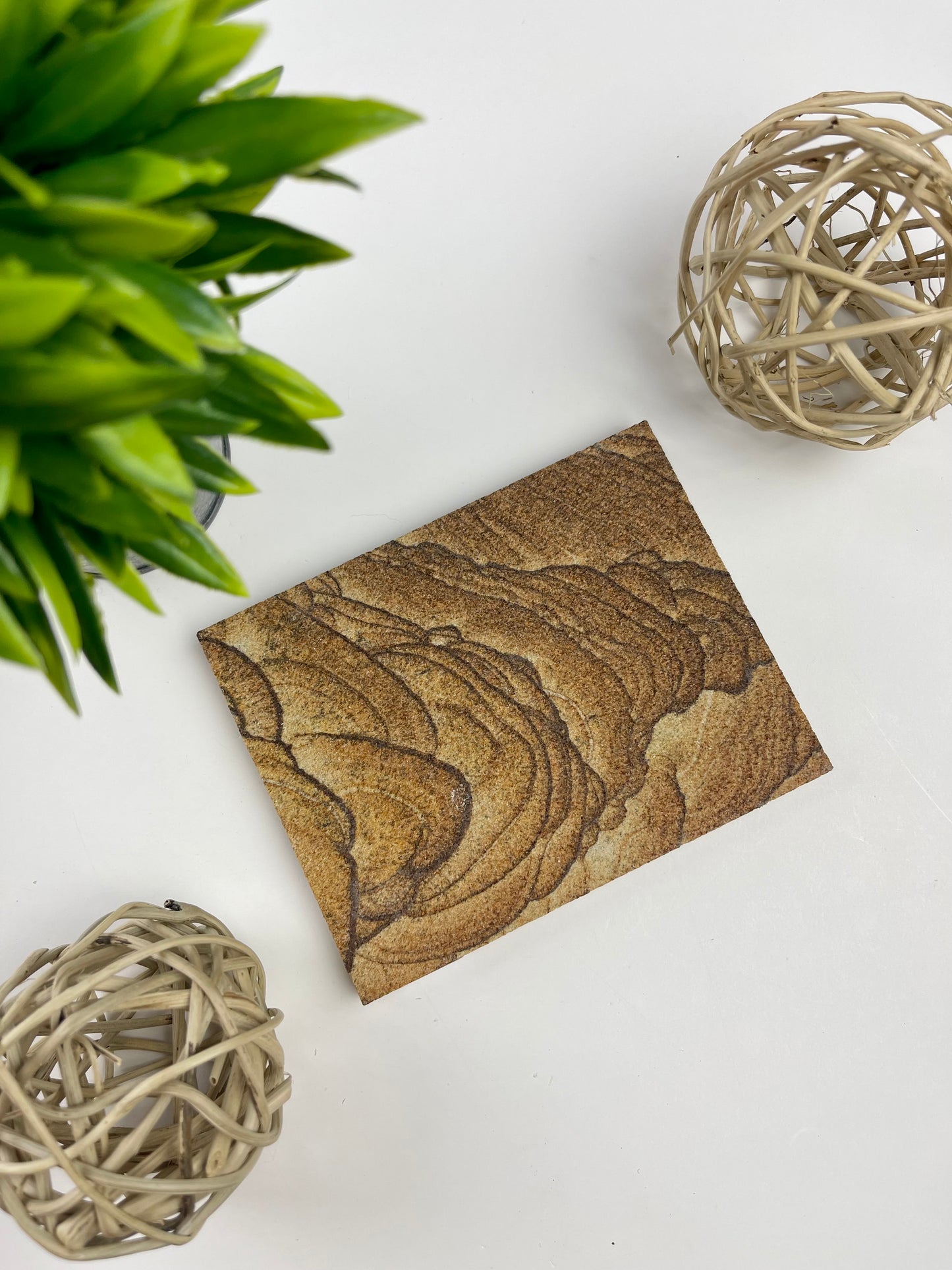 Sandstone Slabs - Canadian Crystal Queens