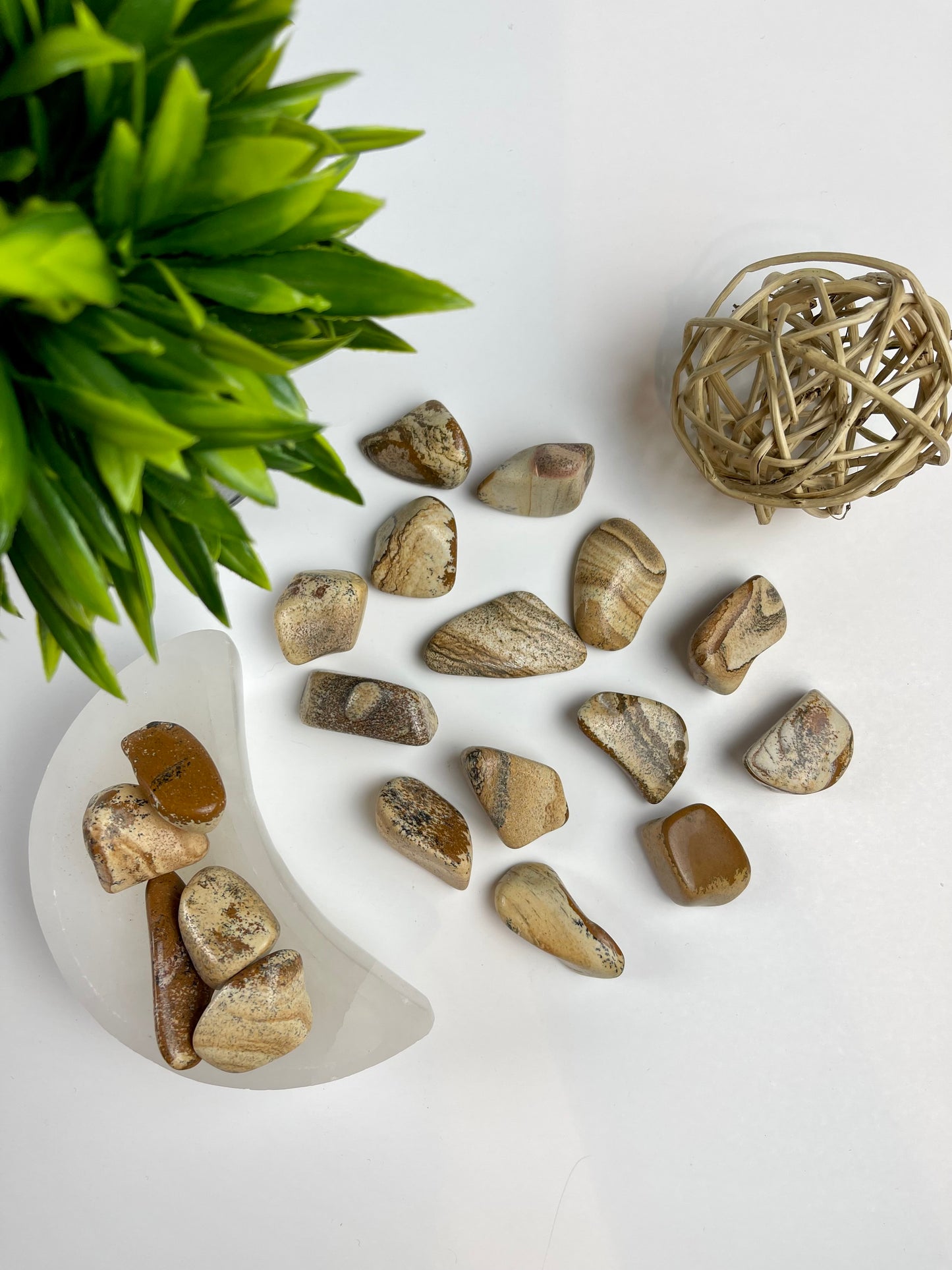 Picture Jasper Tumbles - Canadian Crystal Queens