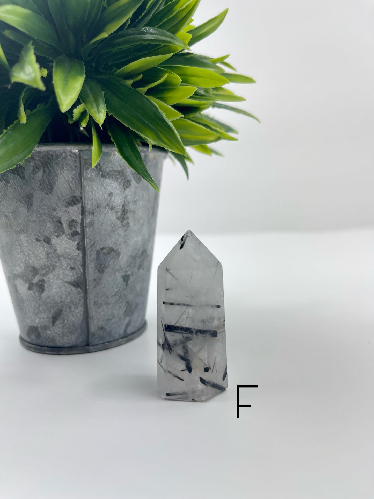Black Tourmaline in Quartz Tower F